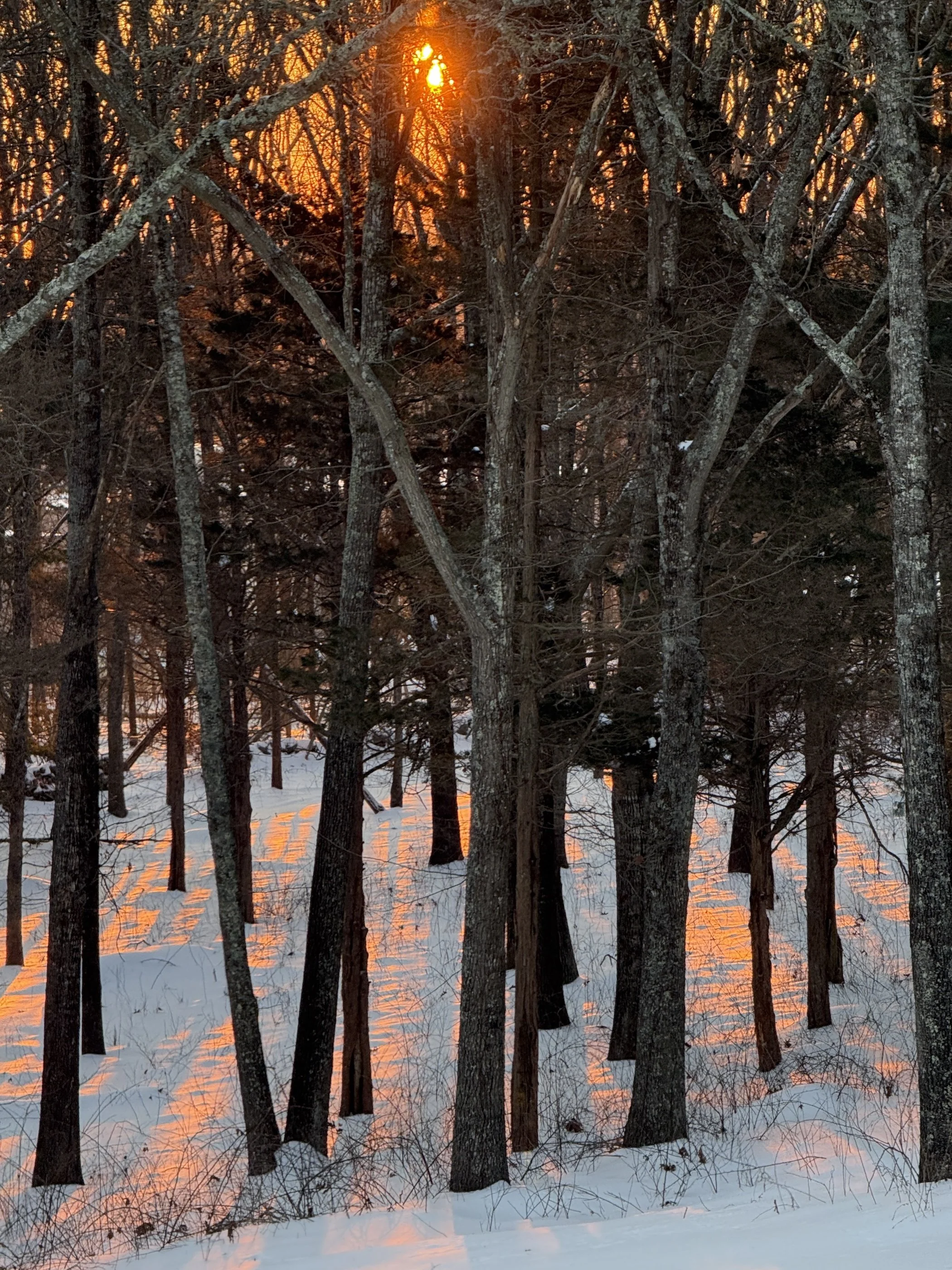 Snow Sunrise IMG_5308 copy.jpg