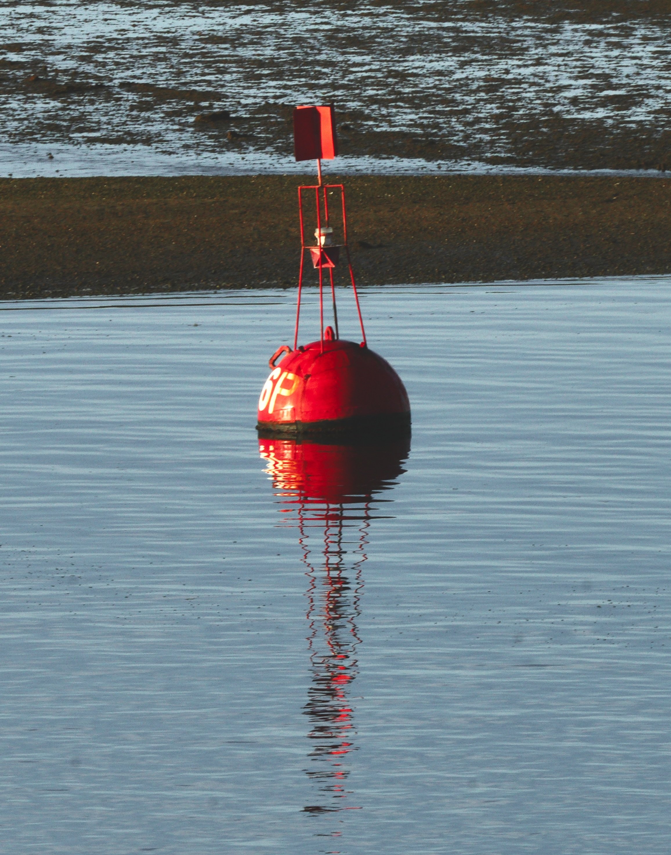 Bobbing Buoy