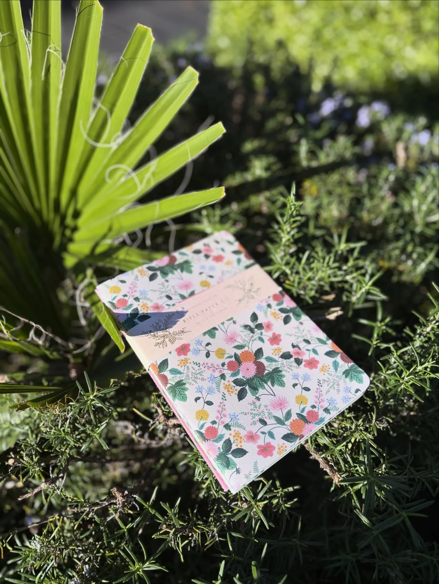 There&rsquo;s something about a new idea for a book

❤️❤️❤️❤️