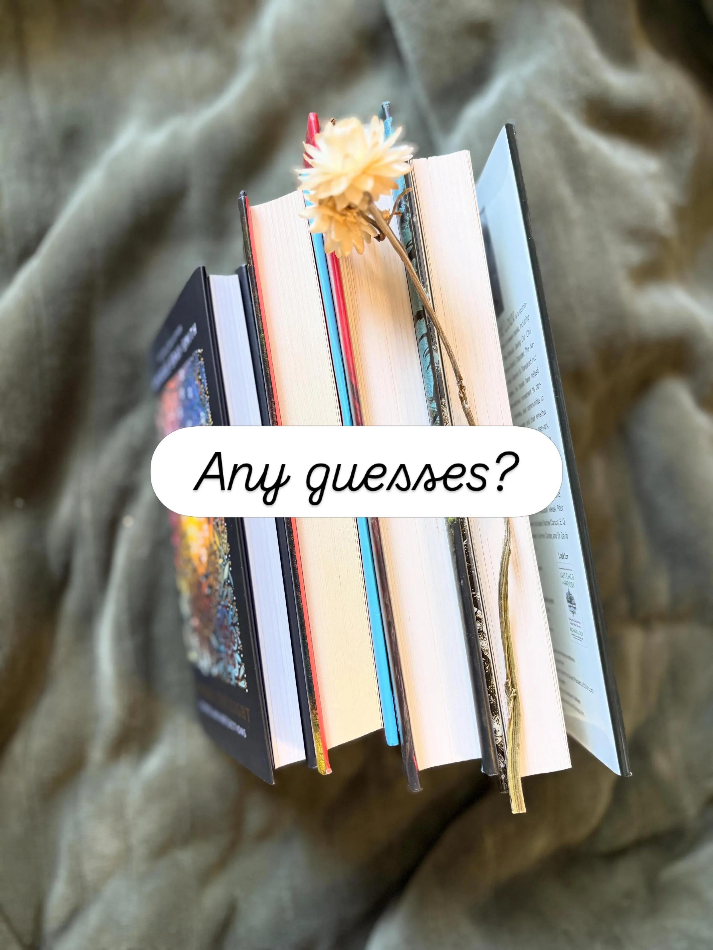 Some beautiful books to enjoy this autumn. 

💕