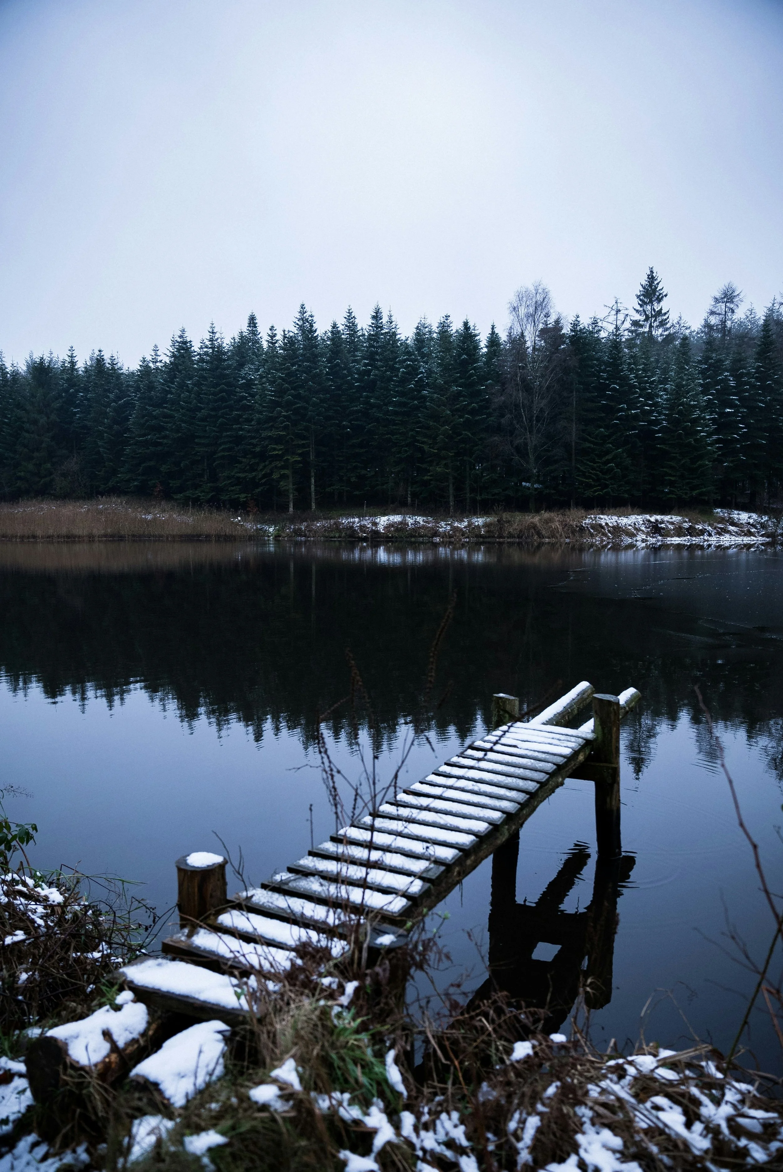 winter landscape with dock at the lake