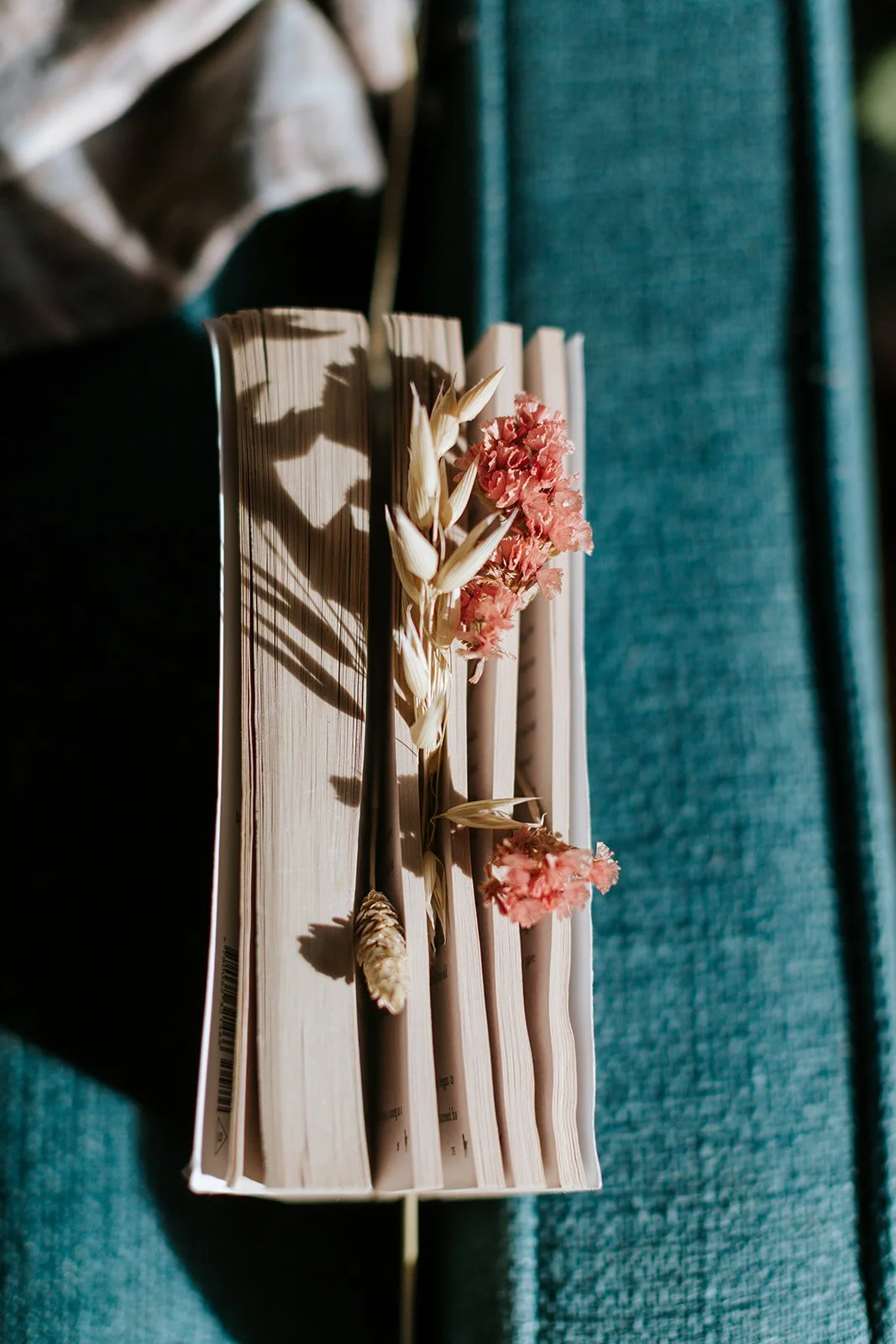Alice Kuipers author book with foliage between pages
