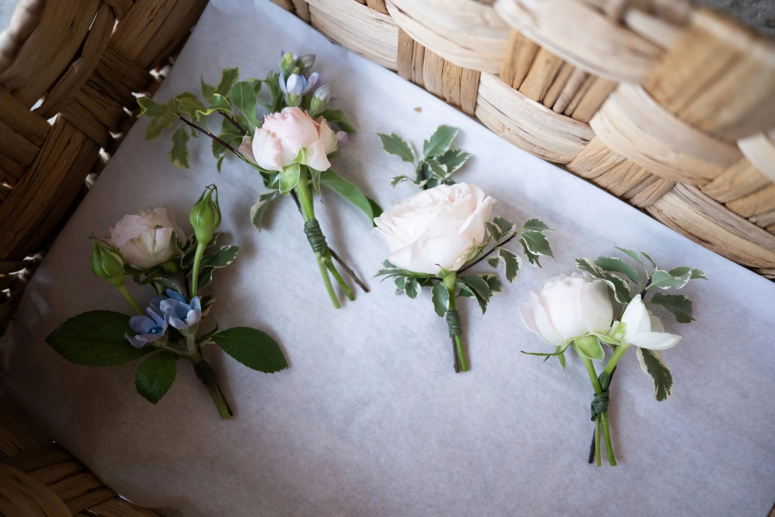 Photography by Jennifer Cawley