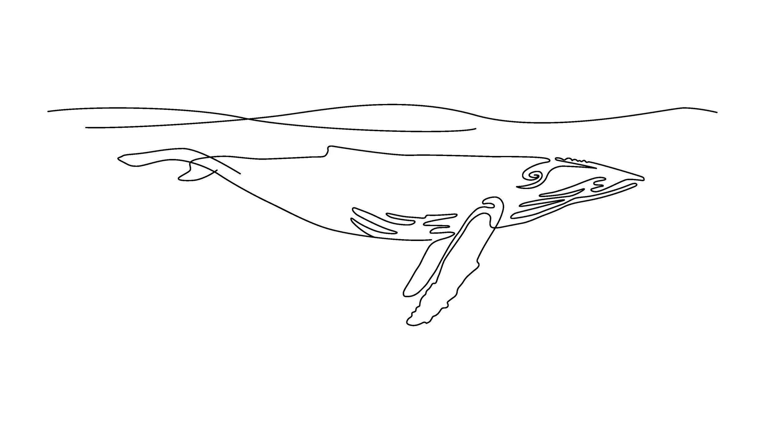 Whale.jpg