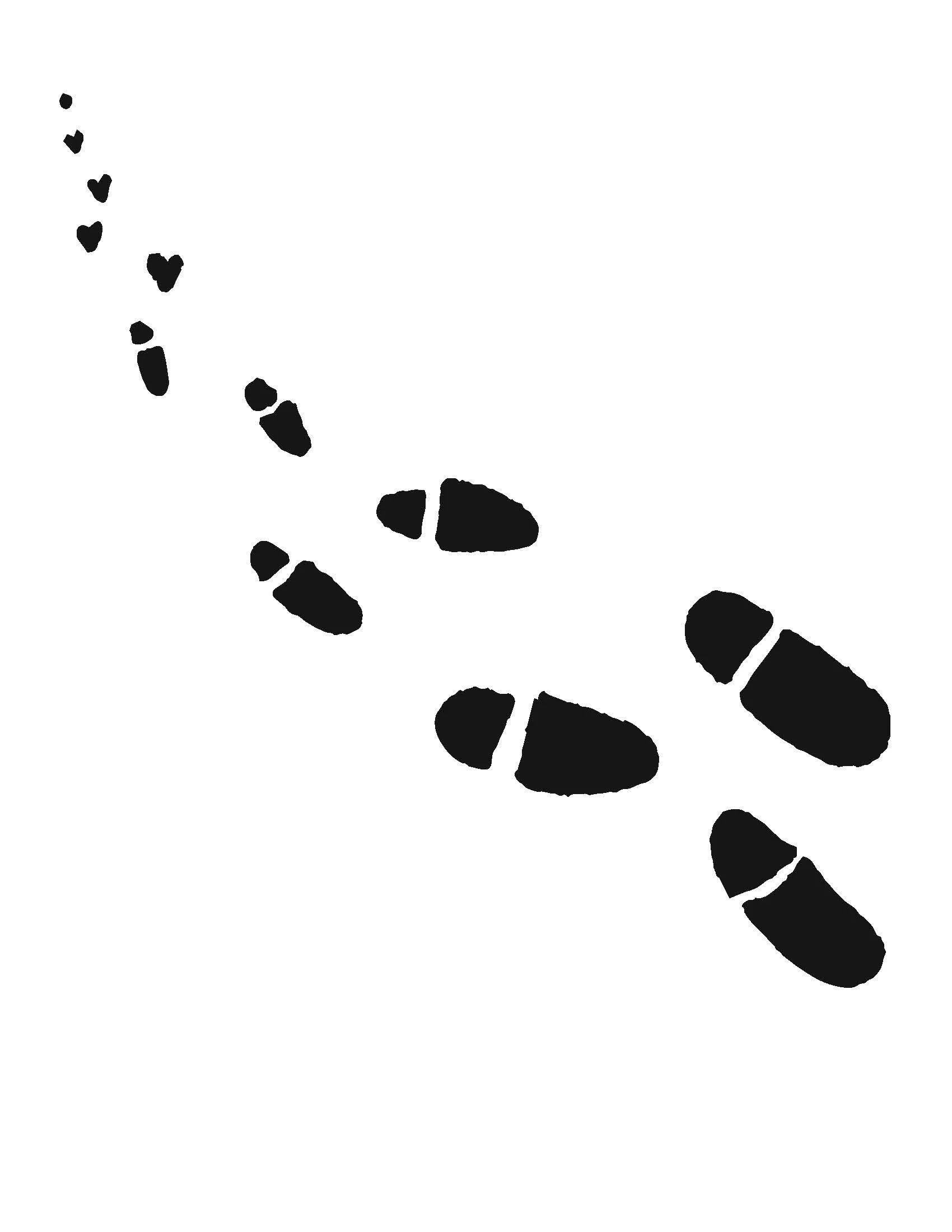 Footprints_11[1].jpg