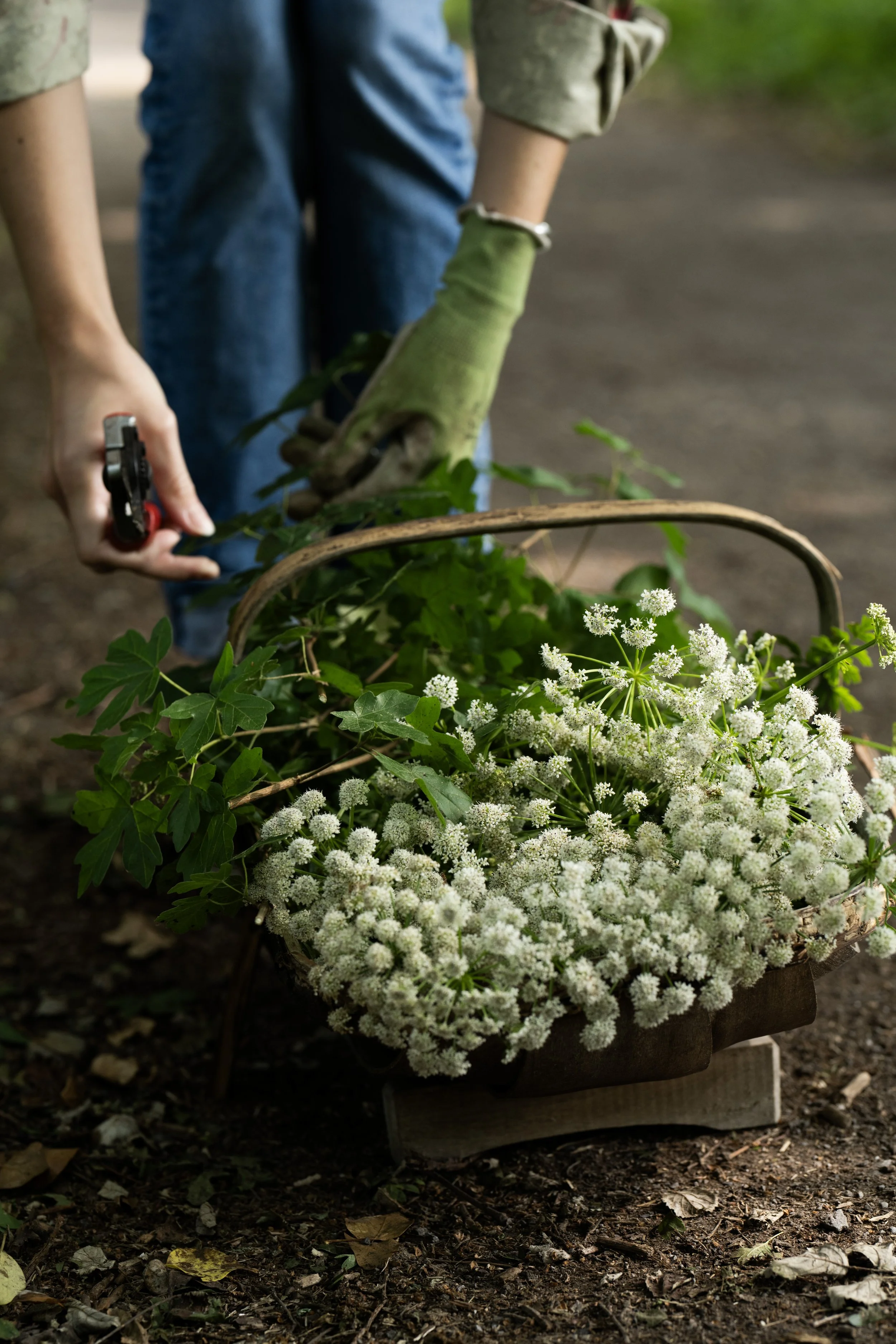 Photography by Jennifer Cawley