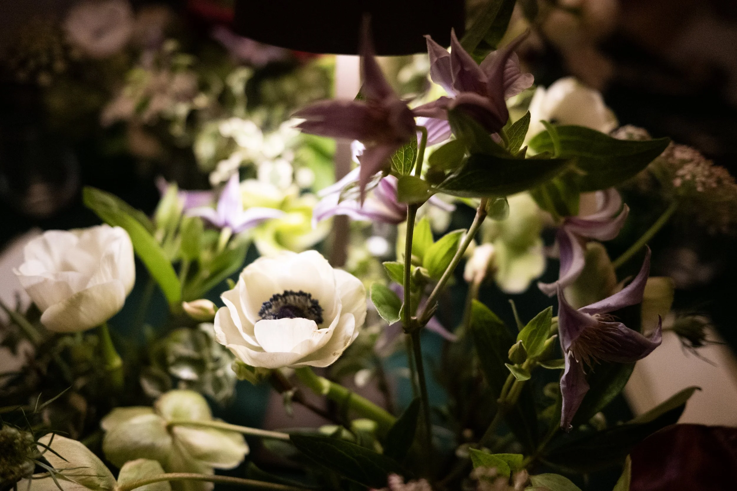 Photography by Jennifer Cawley