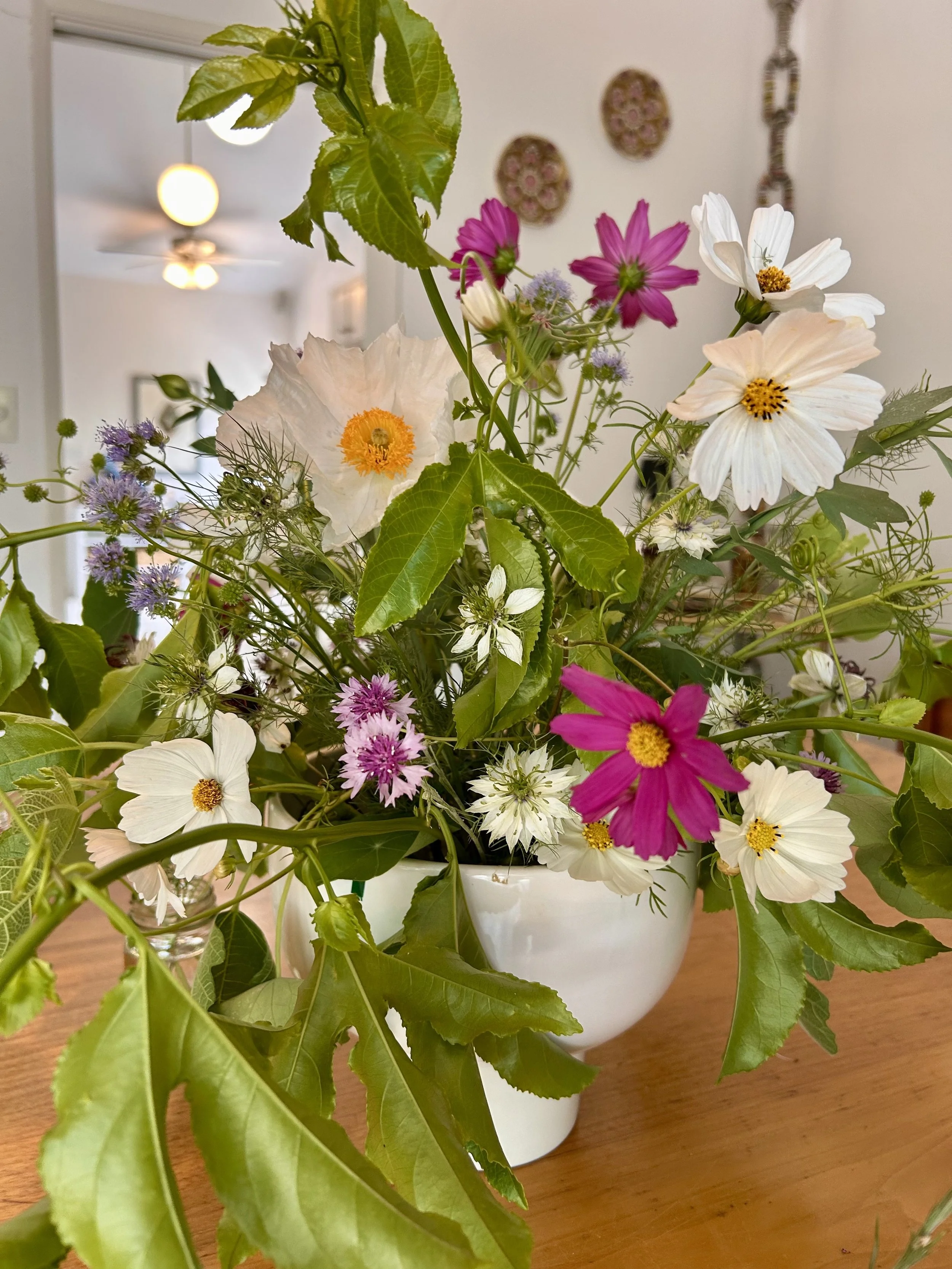 FullSizeRender 2.jpeg