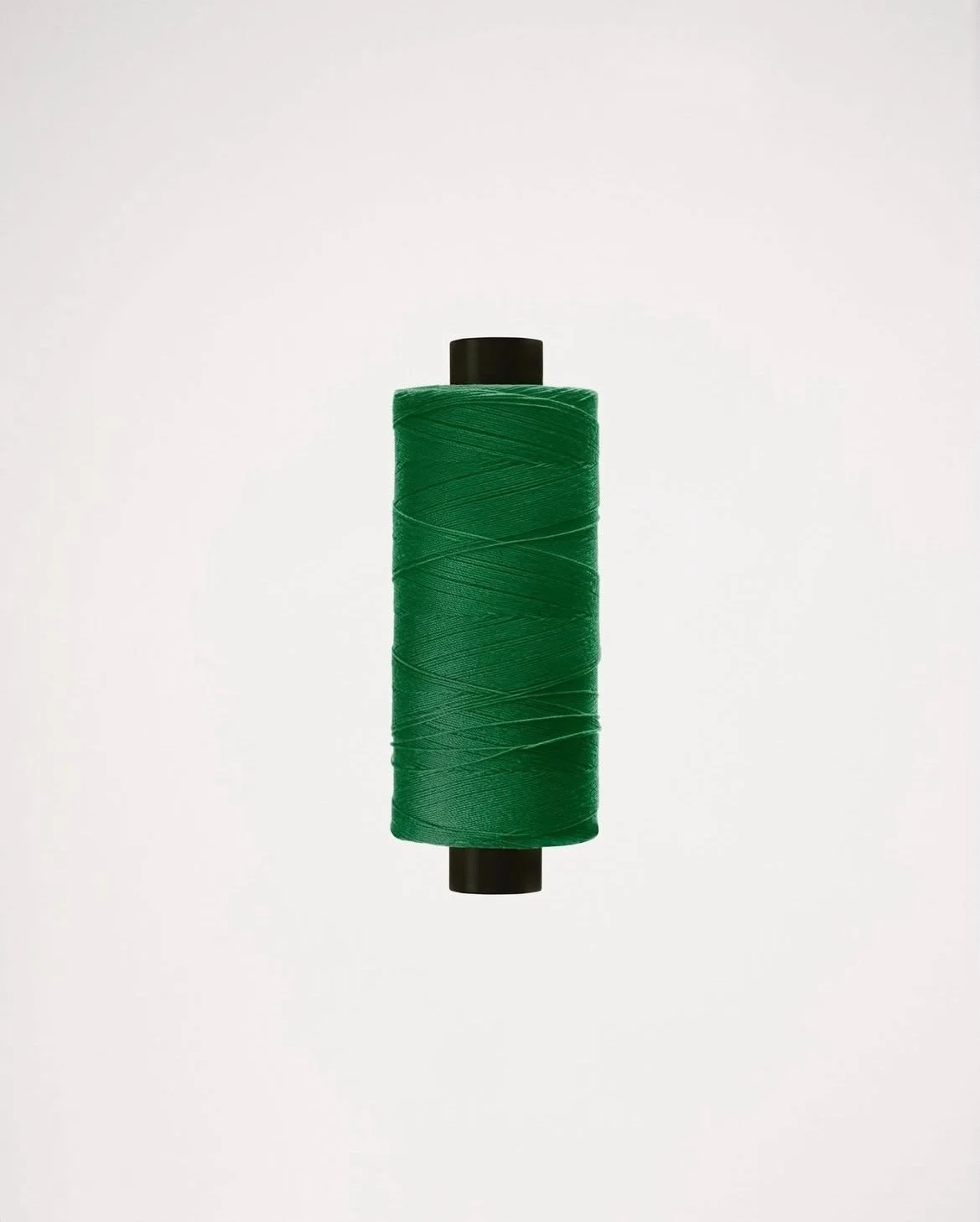 Photography by Kaleb Marshall