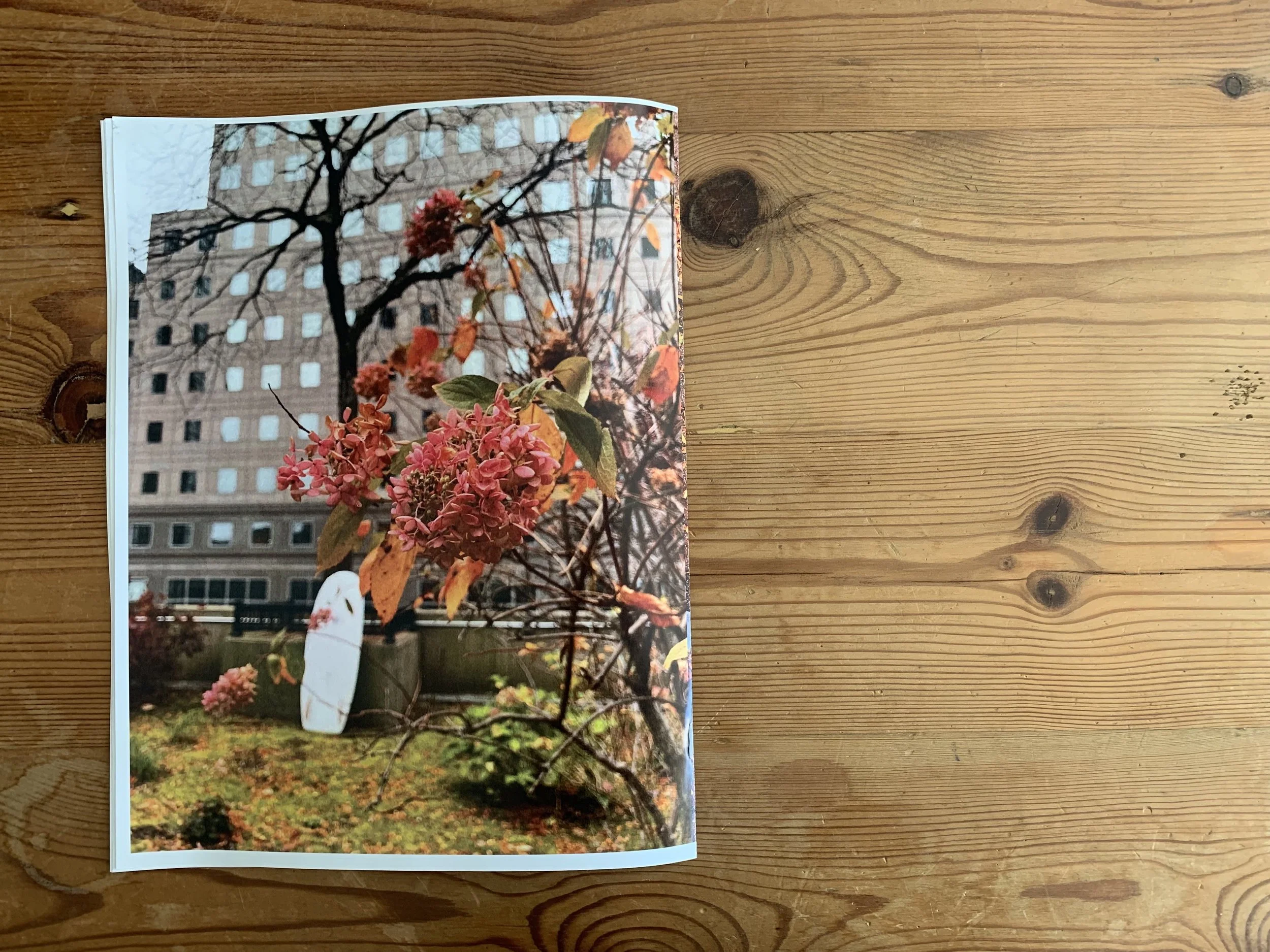 FullSizeRender 11.jpeg