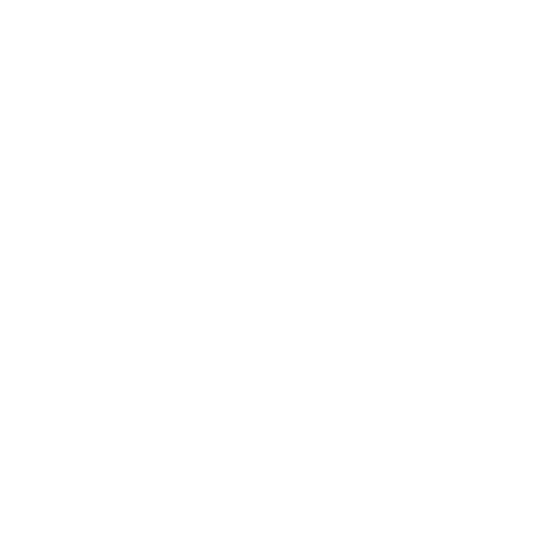 A black background with a white outline of a camera and the word "Bostic" written across it in cursive.