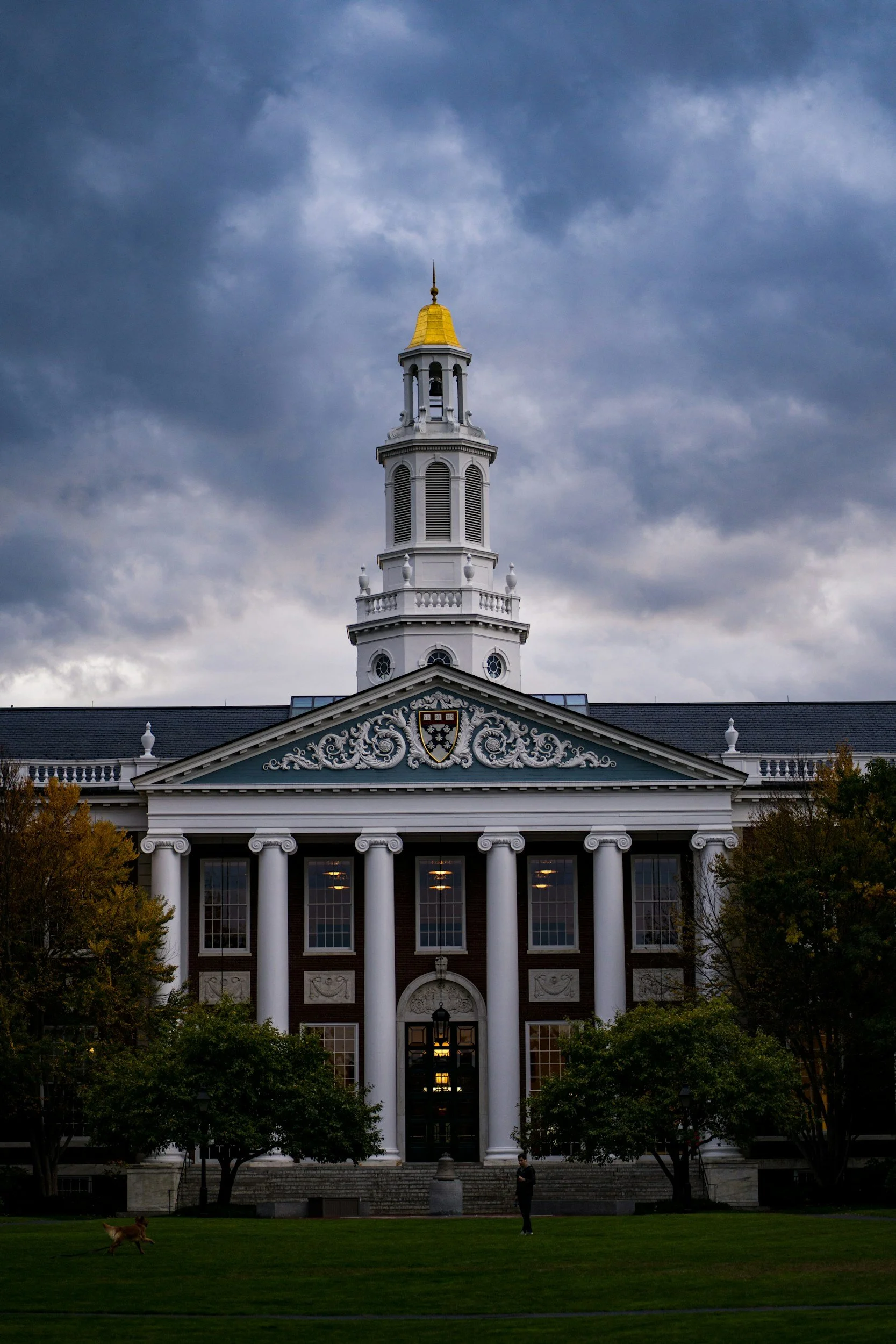 unsplash-image-cF0GCiGnGfA.jpg