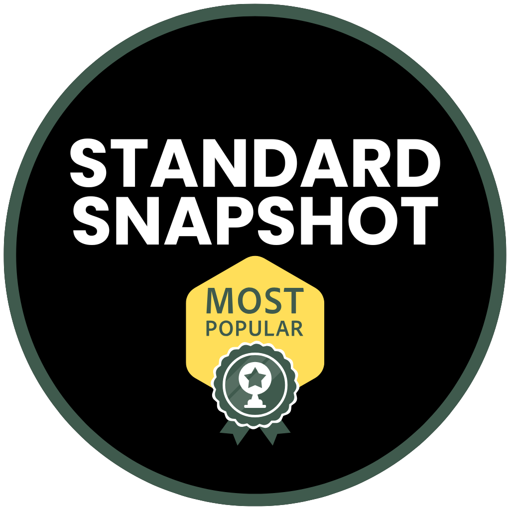 standard snapshot.png