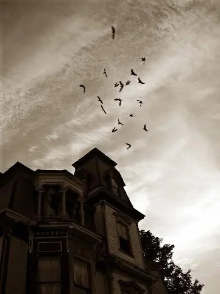 © SK Pierce Mansion