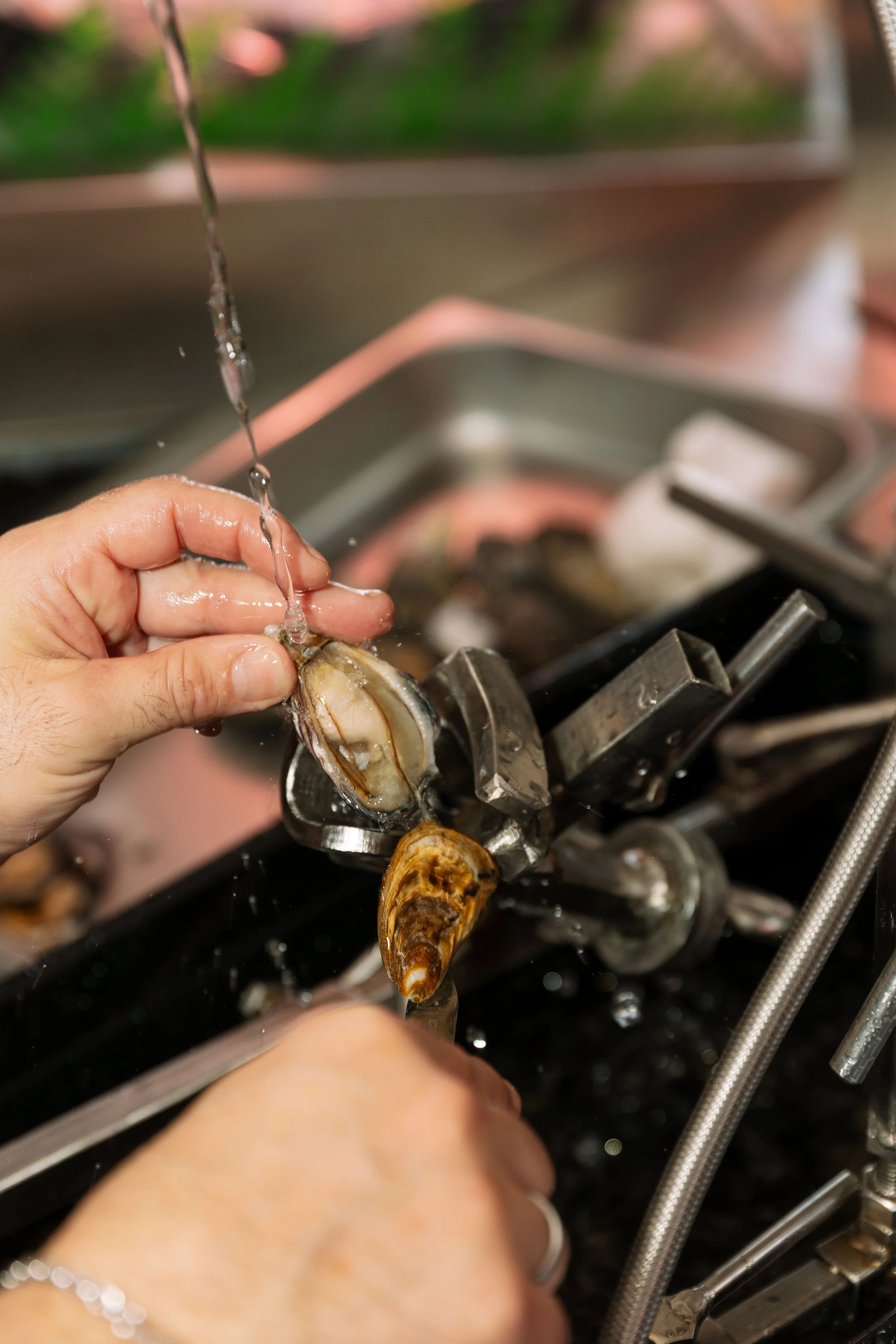 Costi Seafood-68.jpg