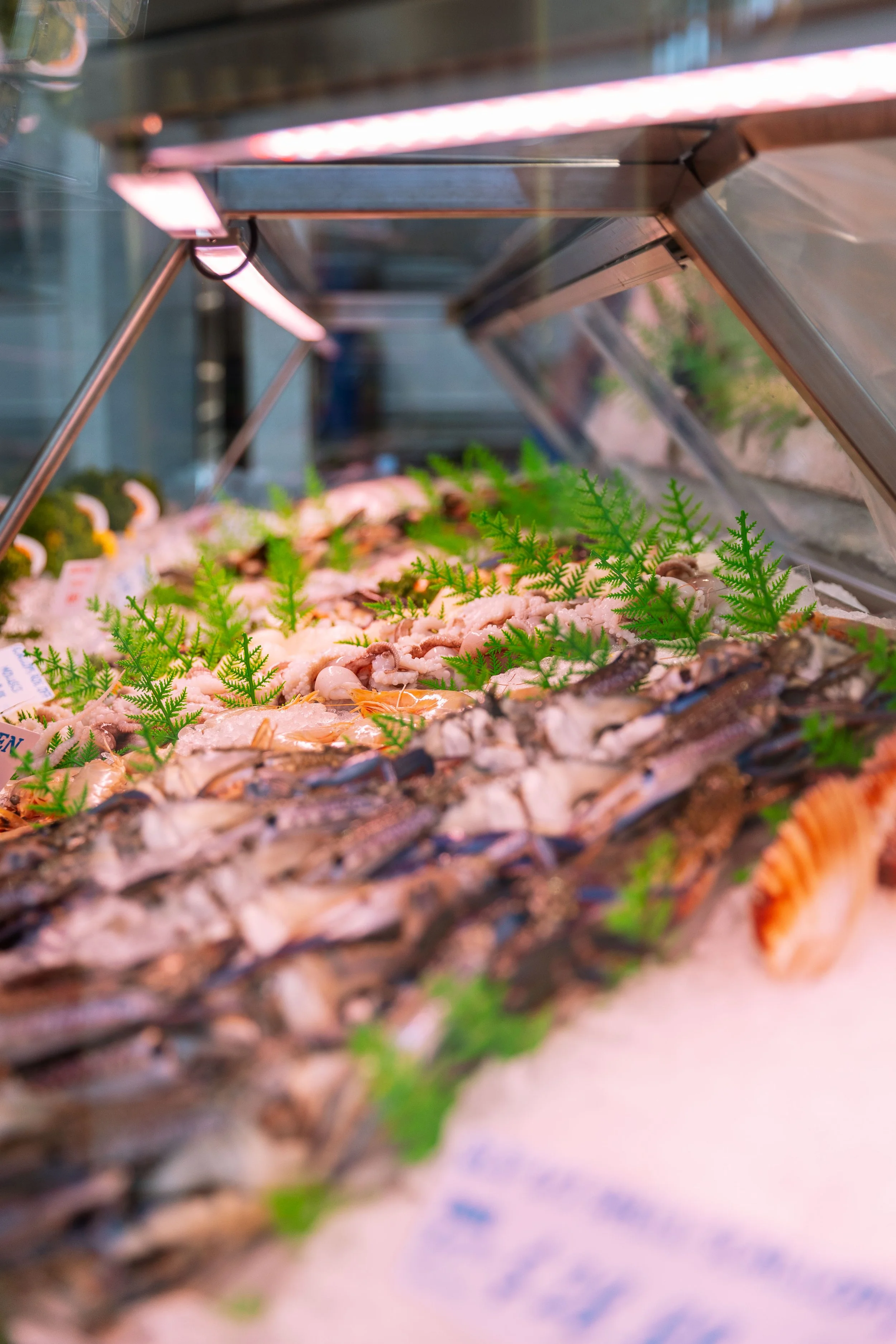 Costi Seafood-99.jpg