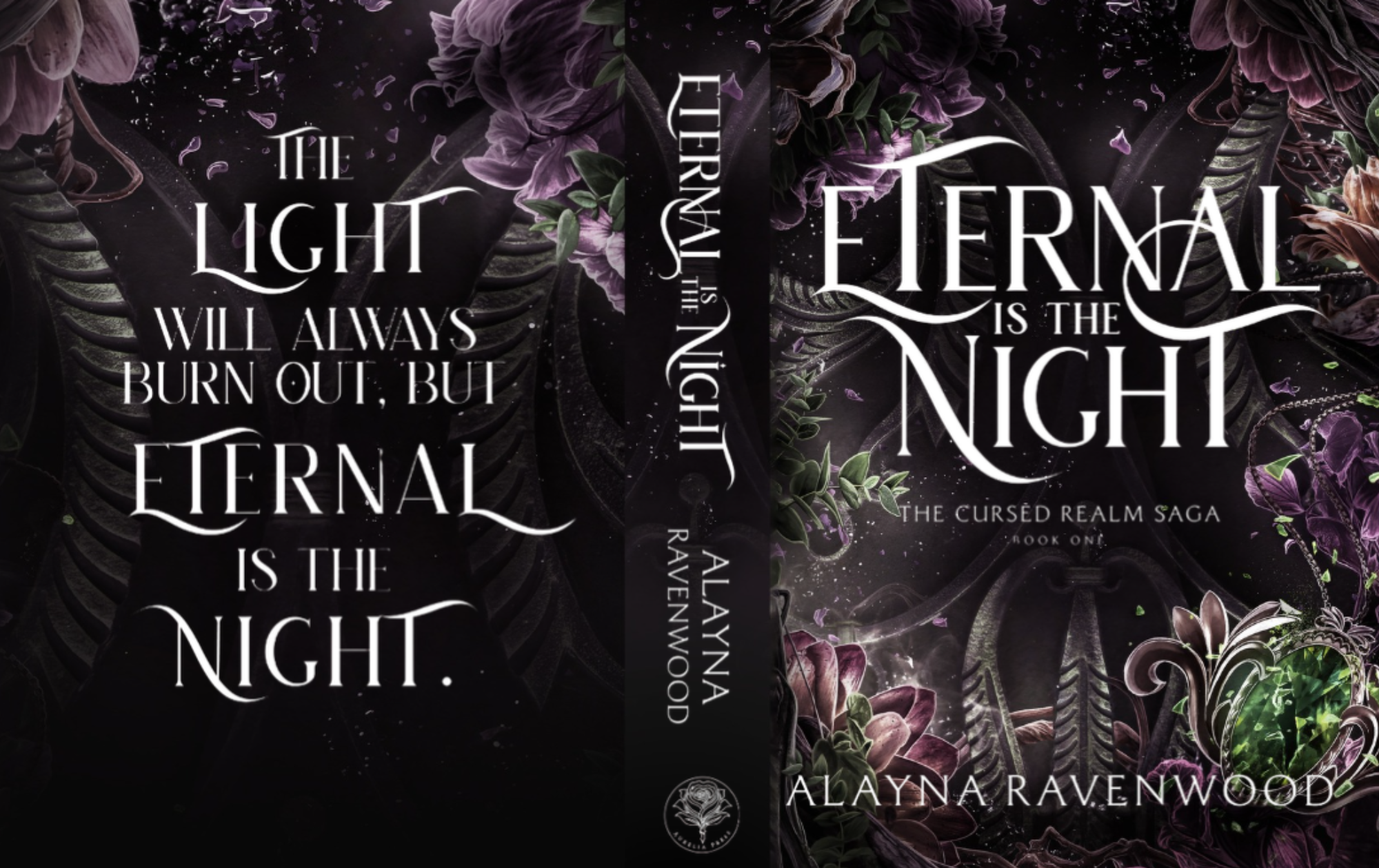 dust jacket mockup.png