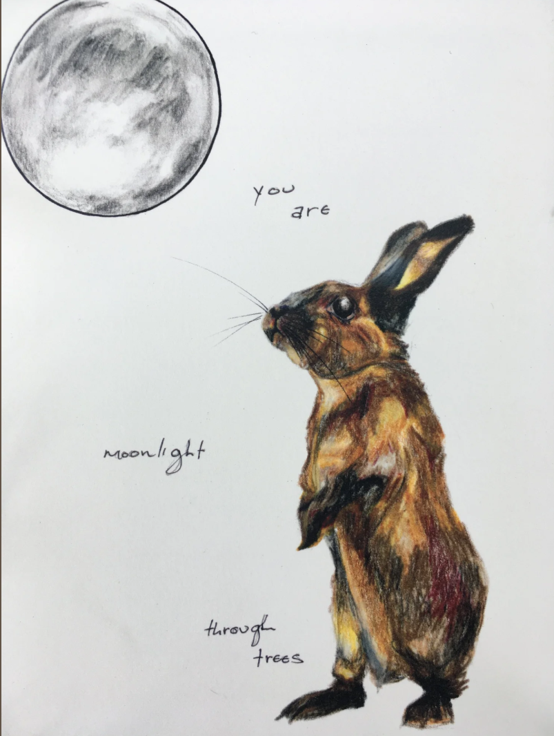 Screen Shot 2026-03-18 at 3.26.44 PM.png