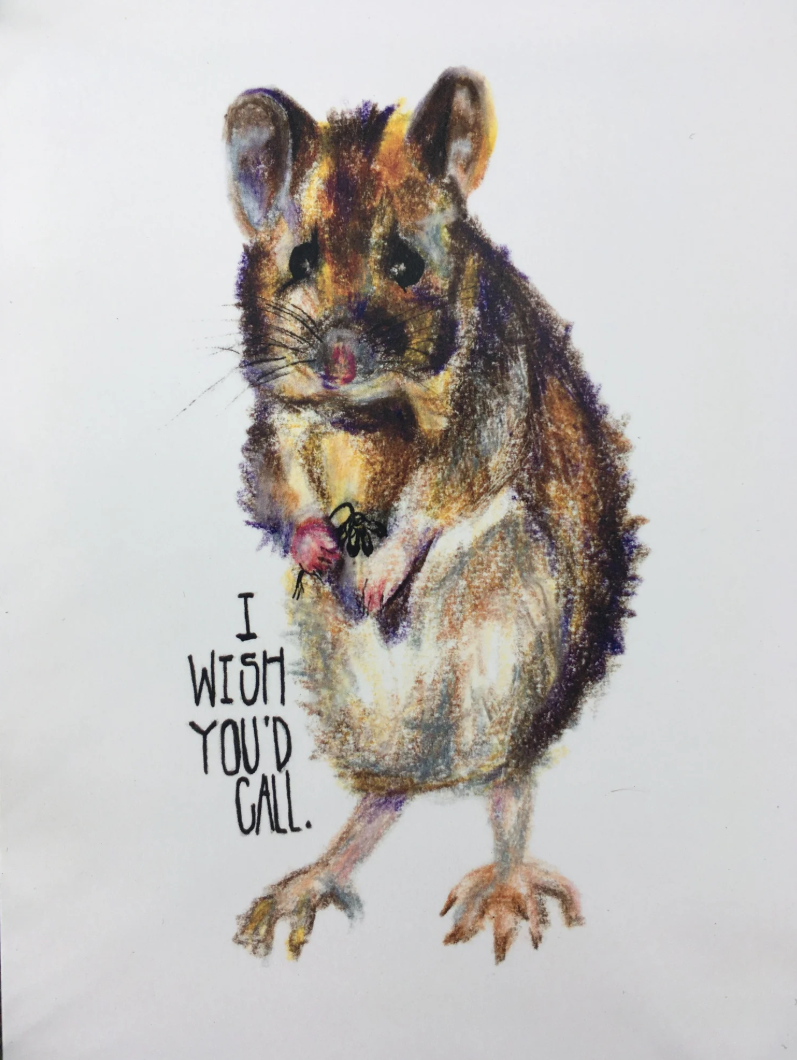 Screen Shot 2026-03-18 at 3.39.17 PM.png