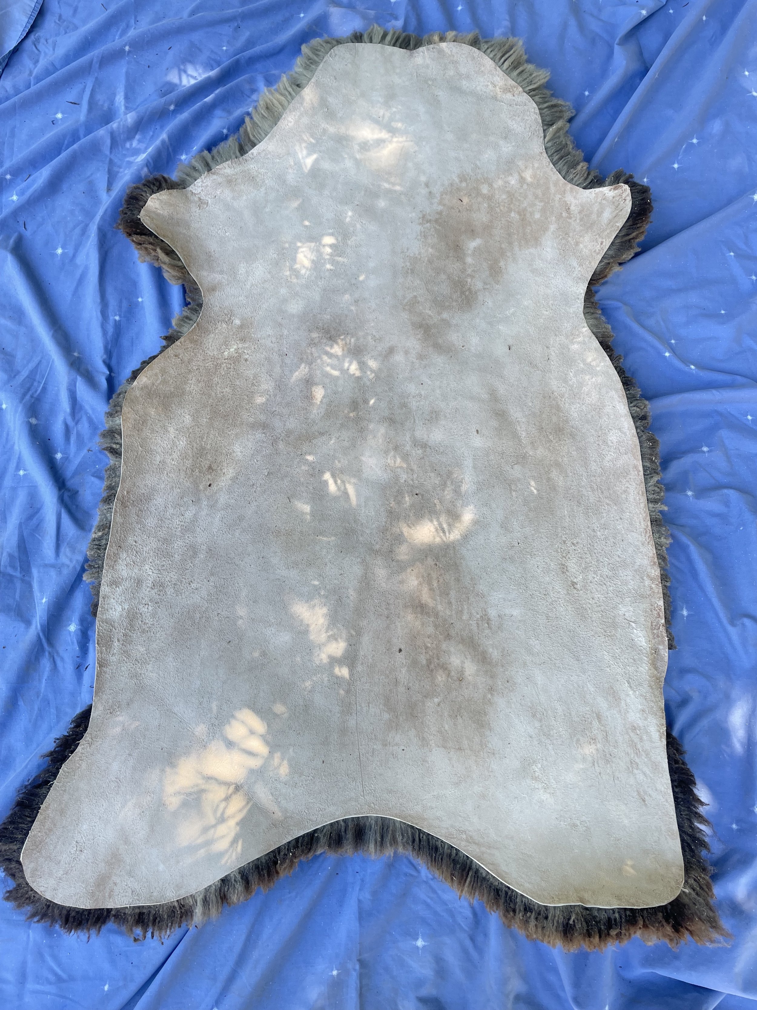 opal2.jpg