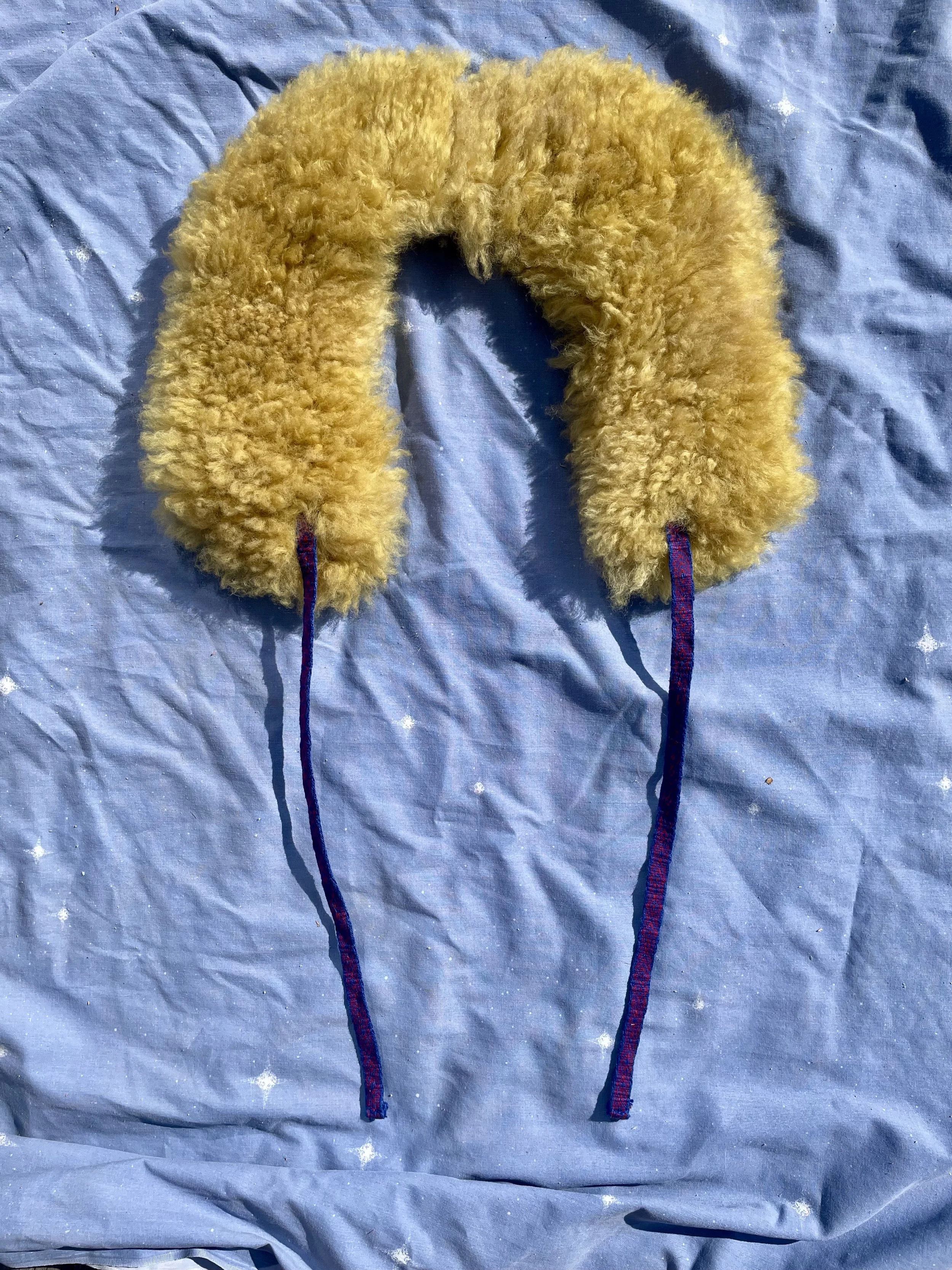 harvest4.jpg