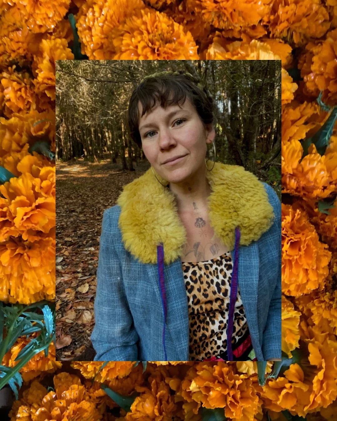 Harvest Shawl