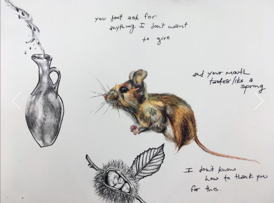 Screen Shot 2026-03-18 at 4.07.21 PM.png