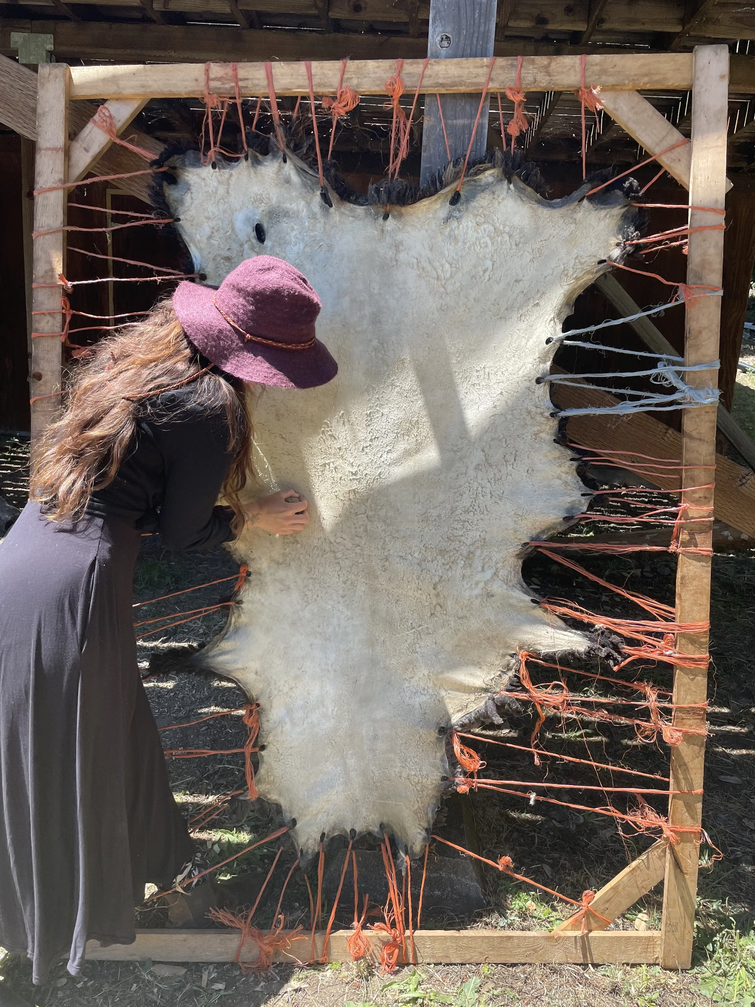 sheepskin3.jpg