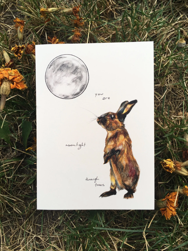 Screen Shot 2026-03-18 at 3.25.52 PM.png