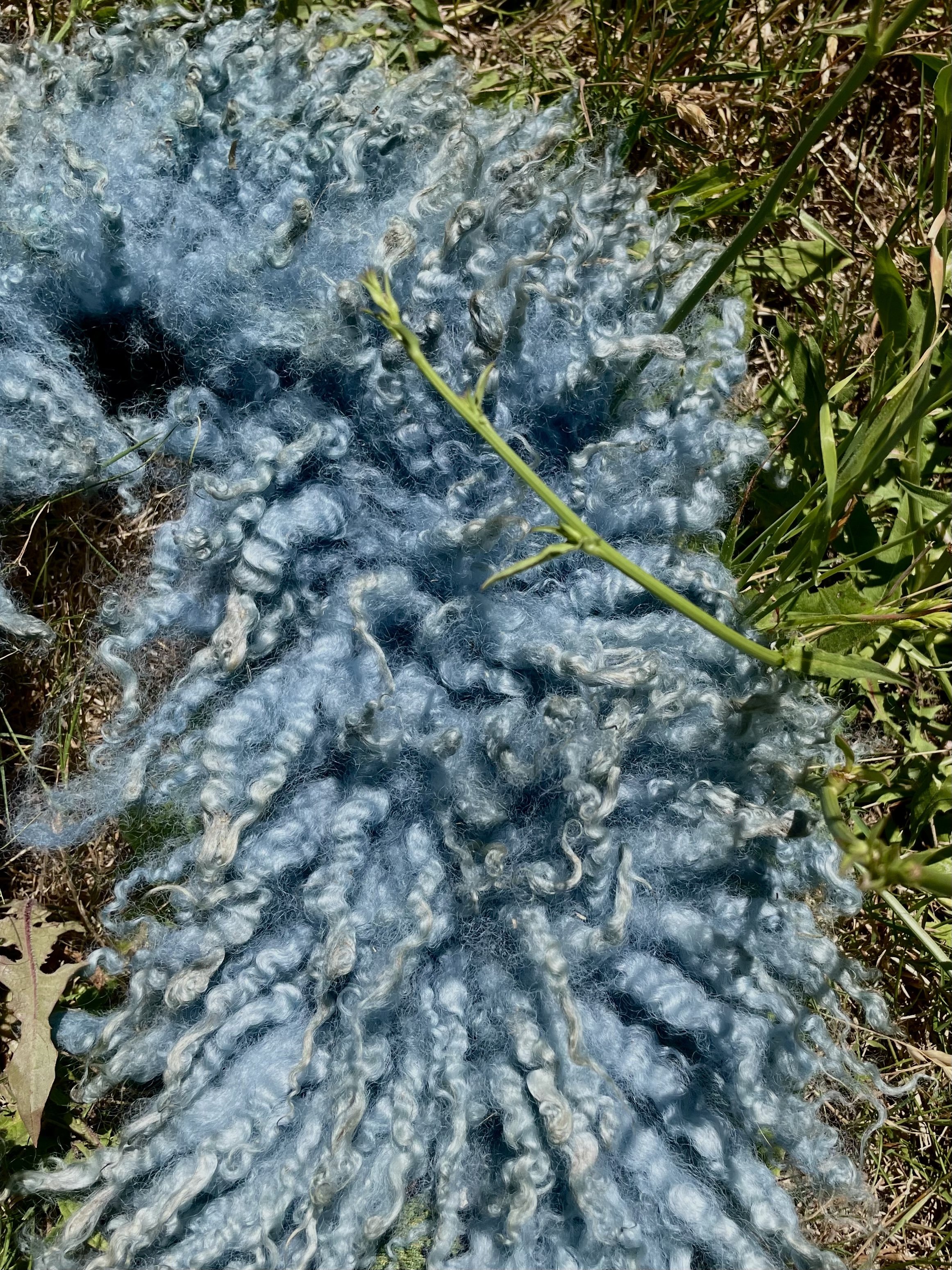 fairylandshawl5.jpg