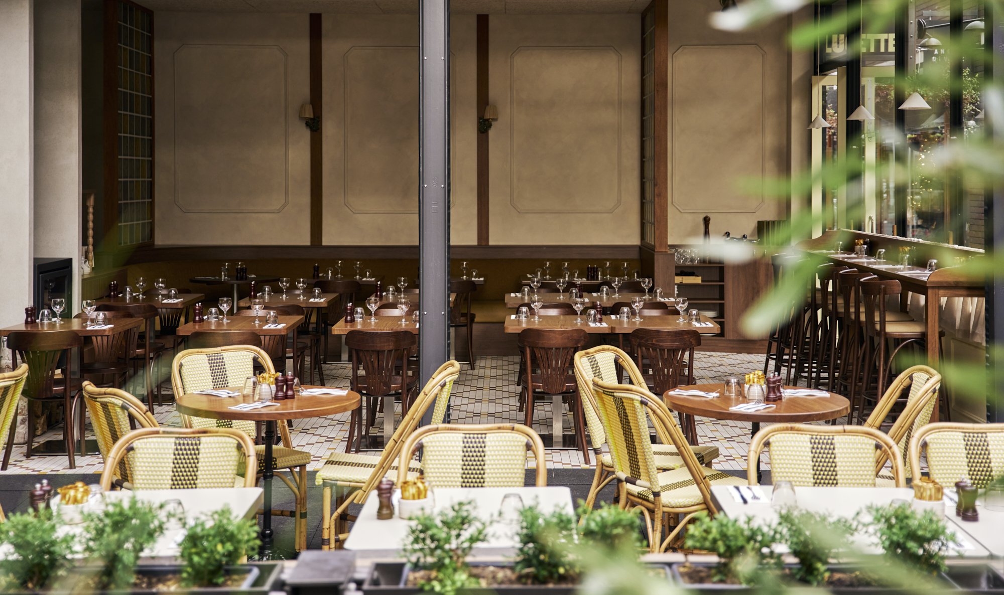 Indoor restaurant with empty tables and chairs, set with glasses, utensils, and condiments, viewed from outside through a window with plants in the foreground