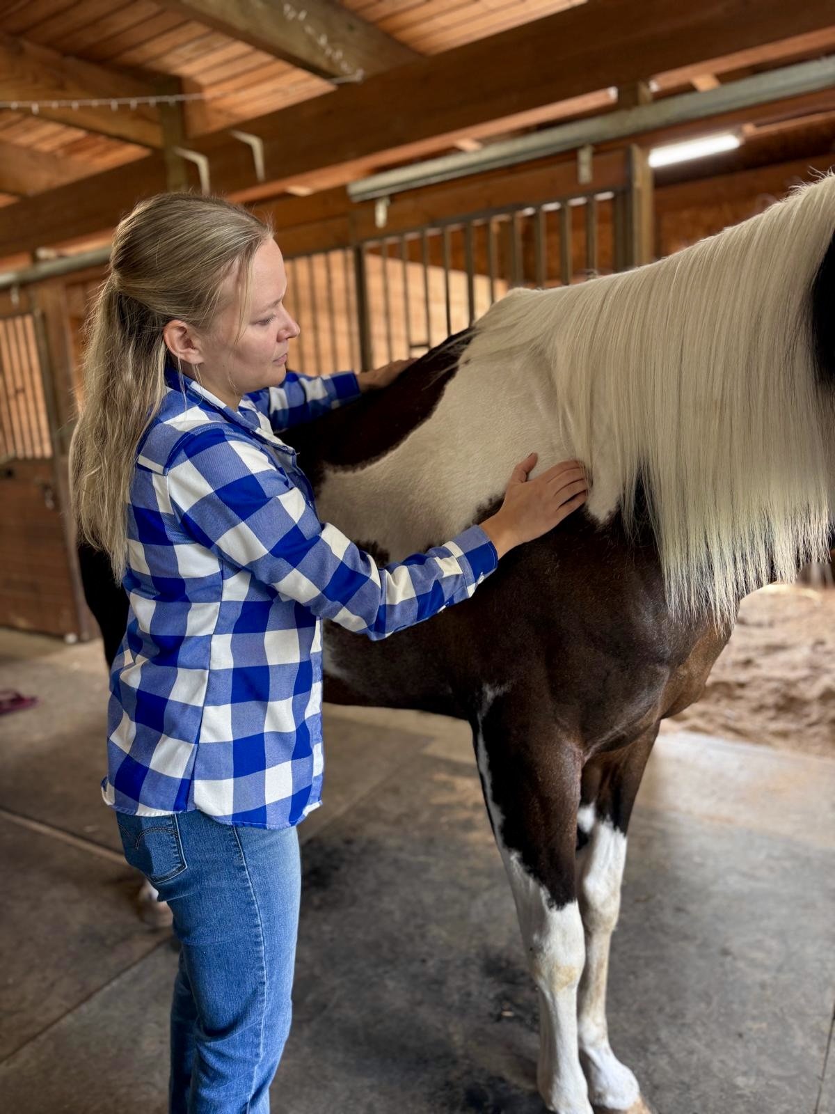 A woman in a blue plaid shirt and jeans is grooming a brown and white horse indoors in a wooden barn.