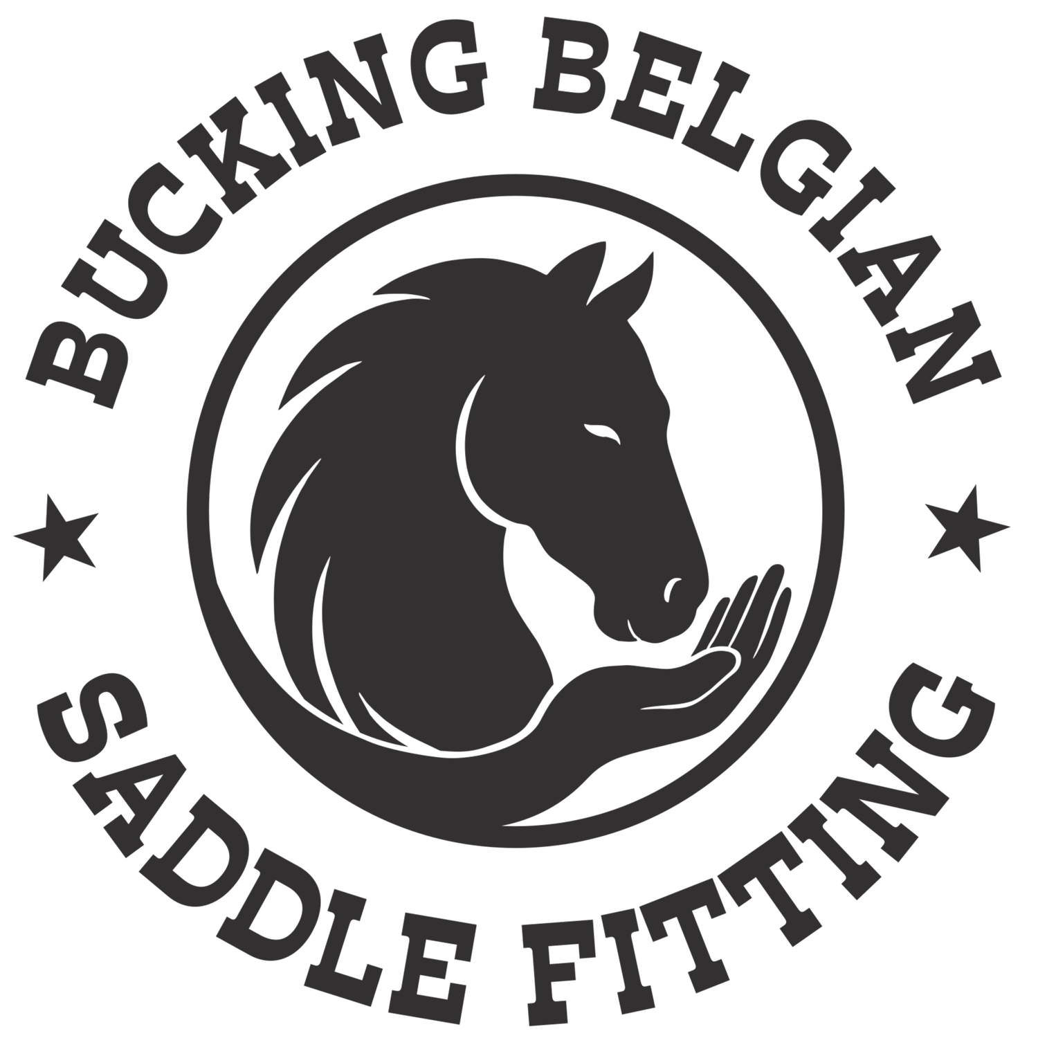 Bucking Belgian Saddle Fitting LLC
