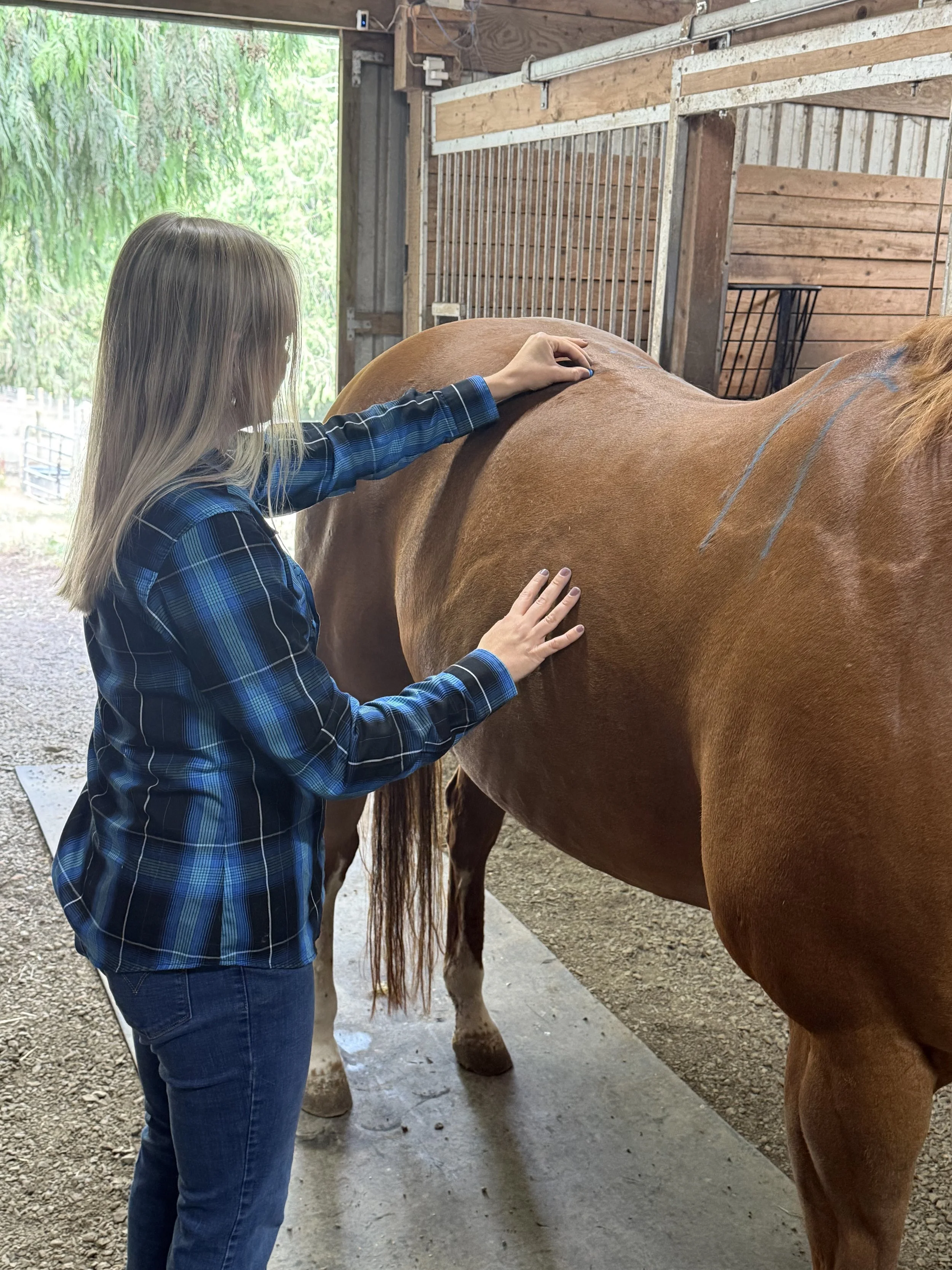 A woman in a blue plaid shirt and jeans is petting a brown horse inside a barn with wooden walls and a large open door showing green trees outside.