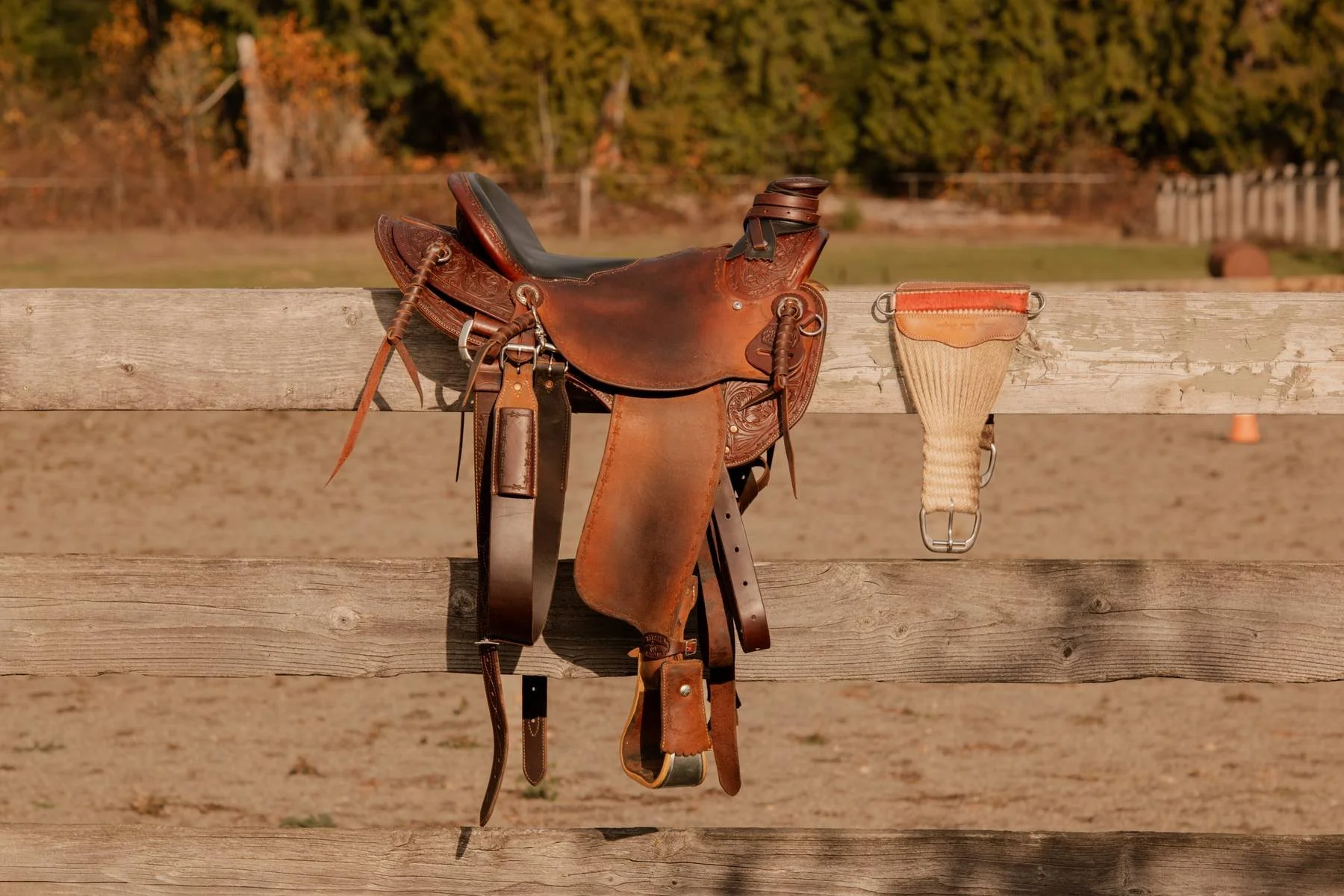 Photo 12 11 2025 11 36 36 72.jpeg