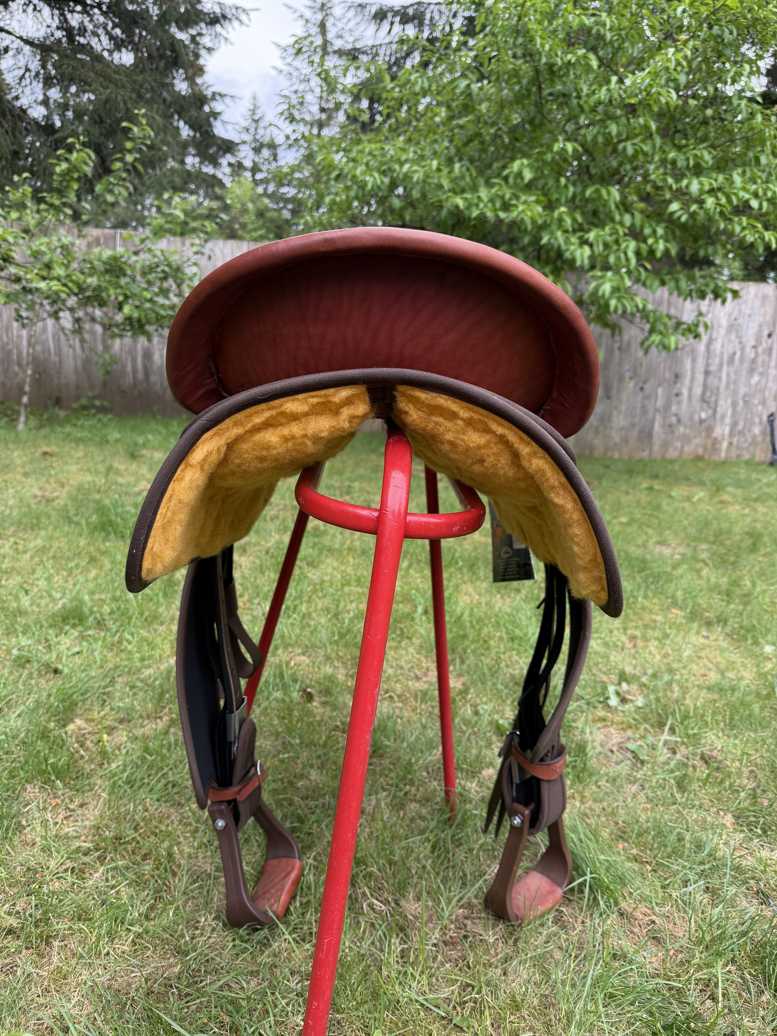 IMG_3129.jpeg