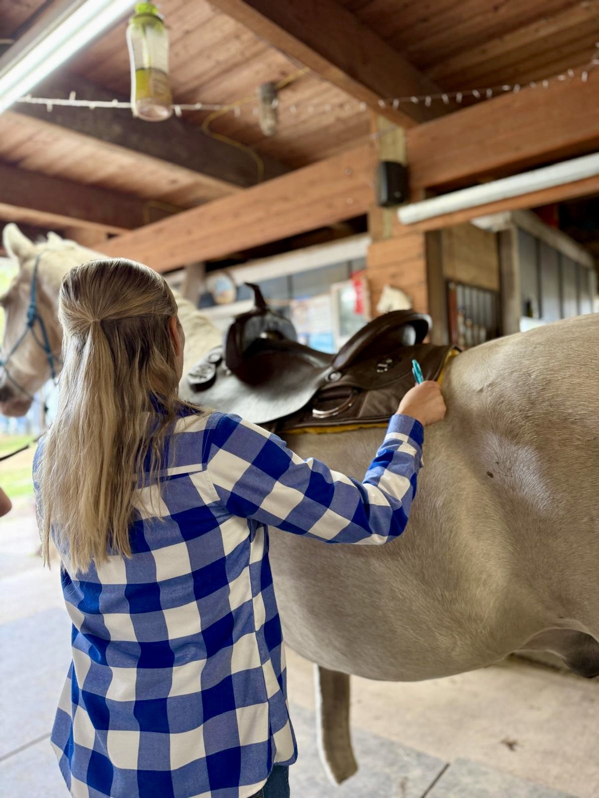 A young girl with long blonde hair, wearing a blue and white checkered shirt, is writing on a saddle on a light-colored horse inside a wooden stable.