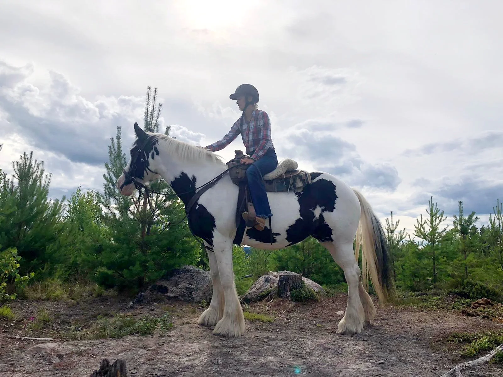 A woman riding a black and white pinto horse outdoors under a cloudy sky, surrounded by green trees.