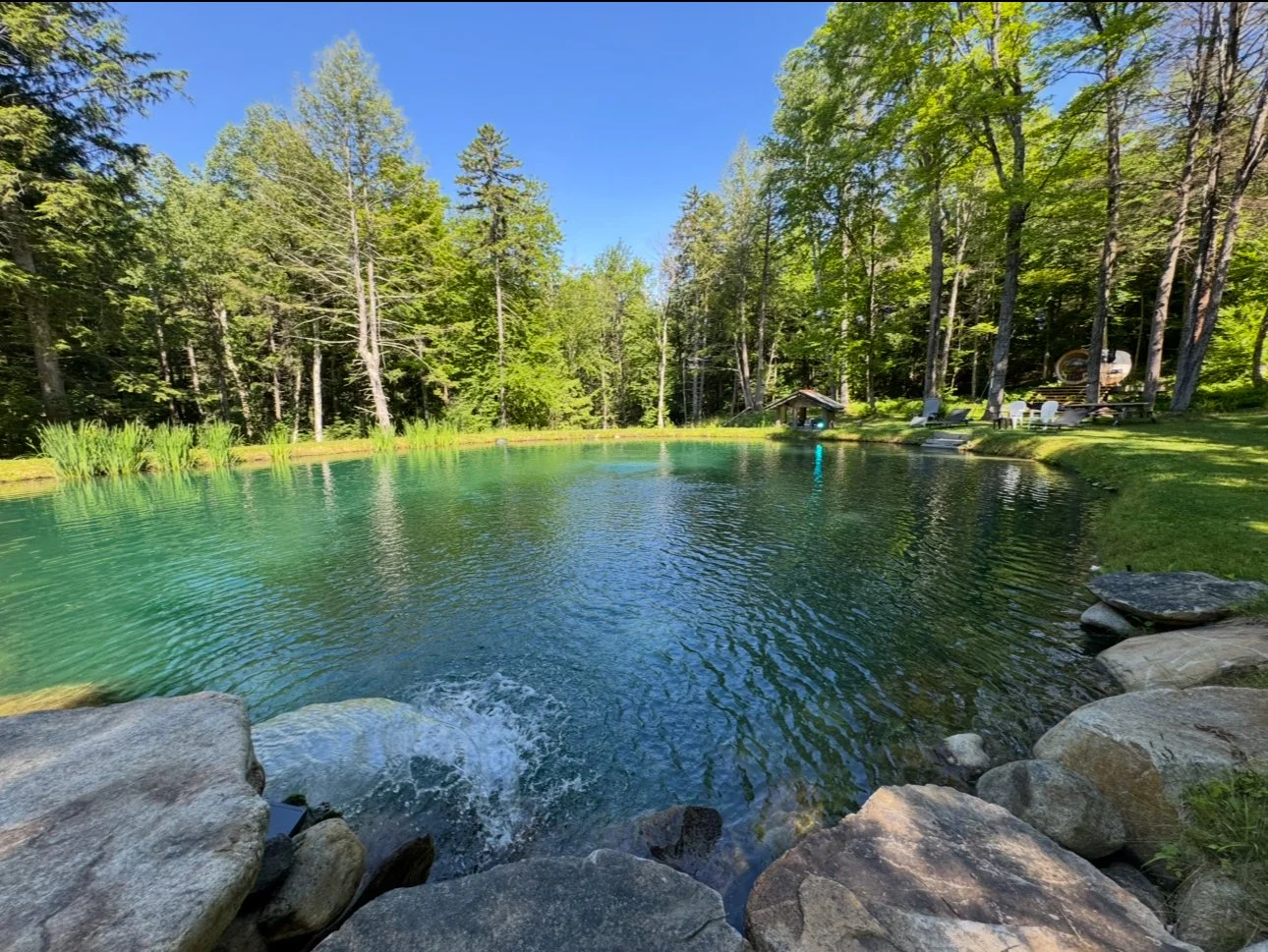 Natural Pool, crystal clear water using natural ecosystem.
