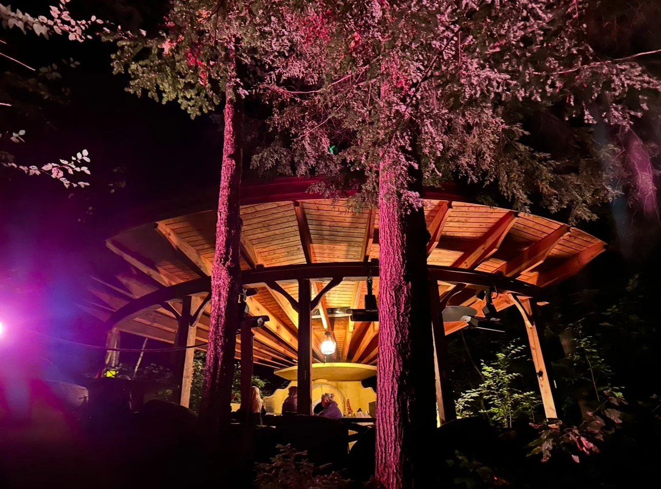 Outdoor Kitchen Build