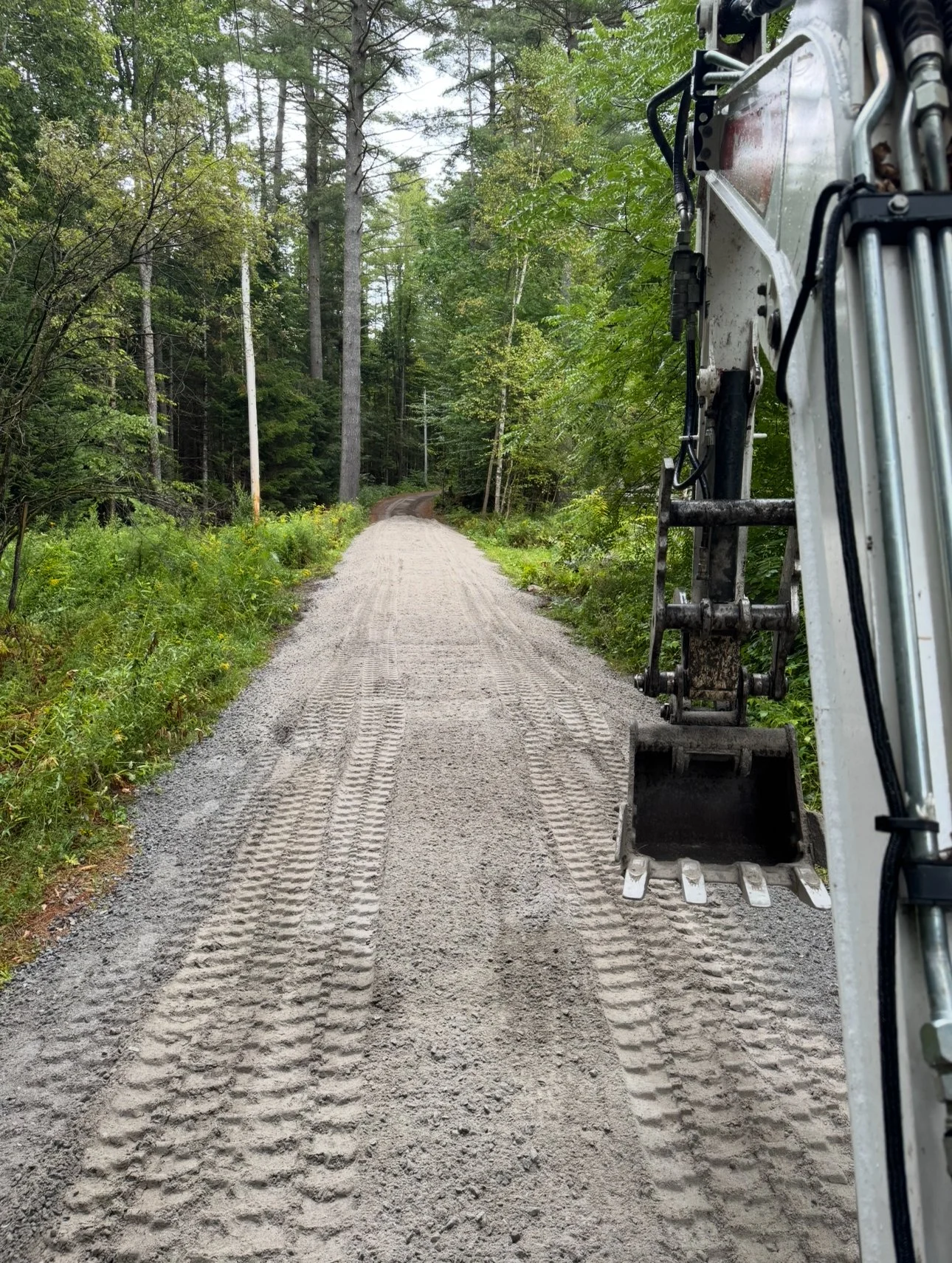 View from a construction vehicle looking down a dirt road surrounded by green trees in a forest.
