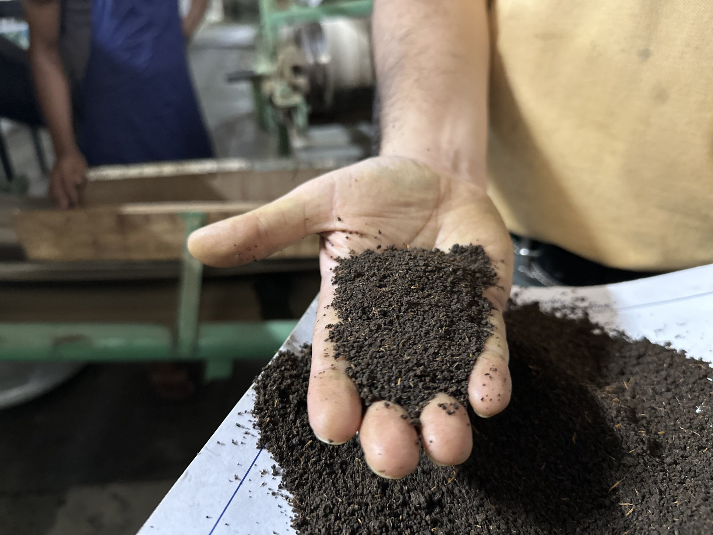 You’ve Heard of English Breakfast Tea. There’s Nothing English About It.