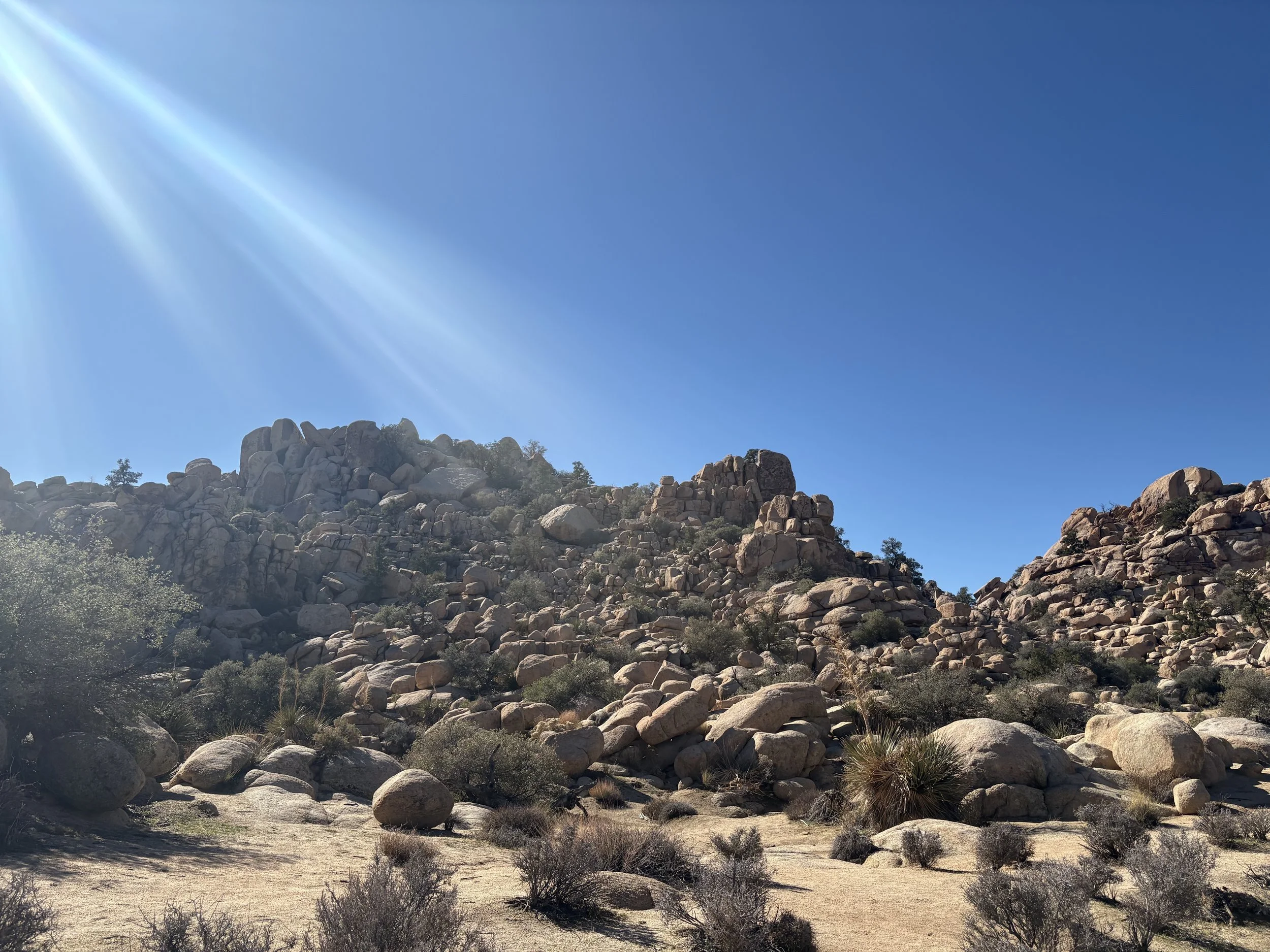 Genesis: A Portrait of Providence