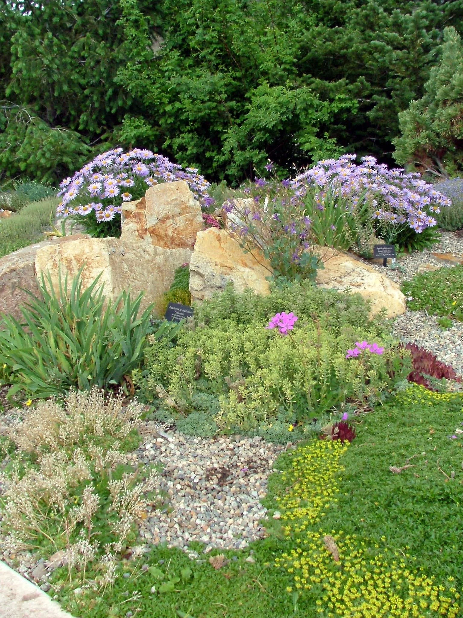 BF_alpine_gardens_1.JPG