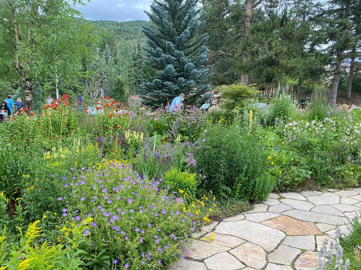 betty-ford-perennial-bed-provaznik.jpg