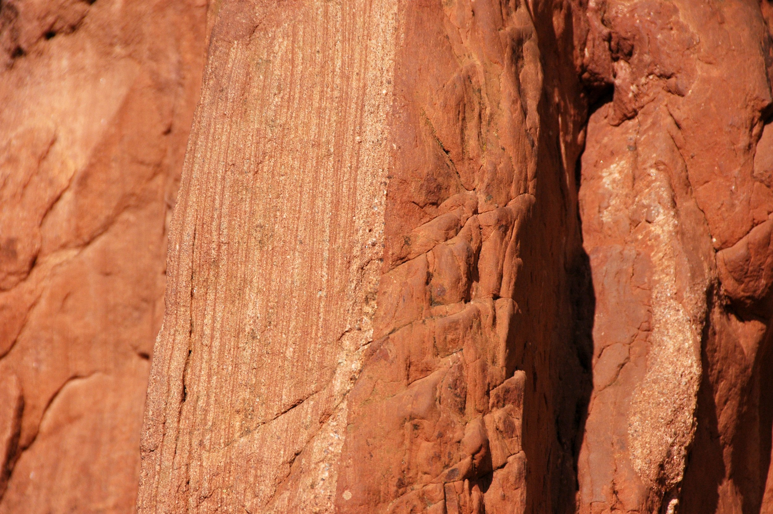 Lyons_Sandstone_(Permia