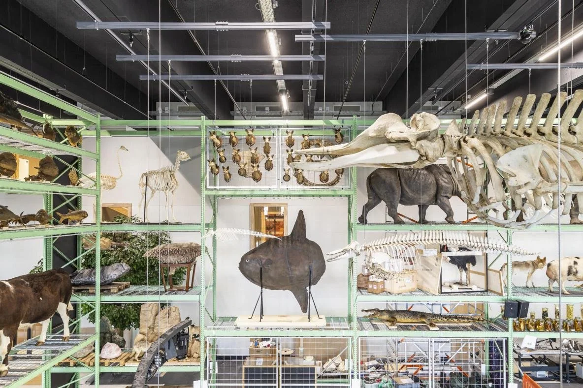 LiveScience 1 - foto Koen Mol_0.jpg