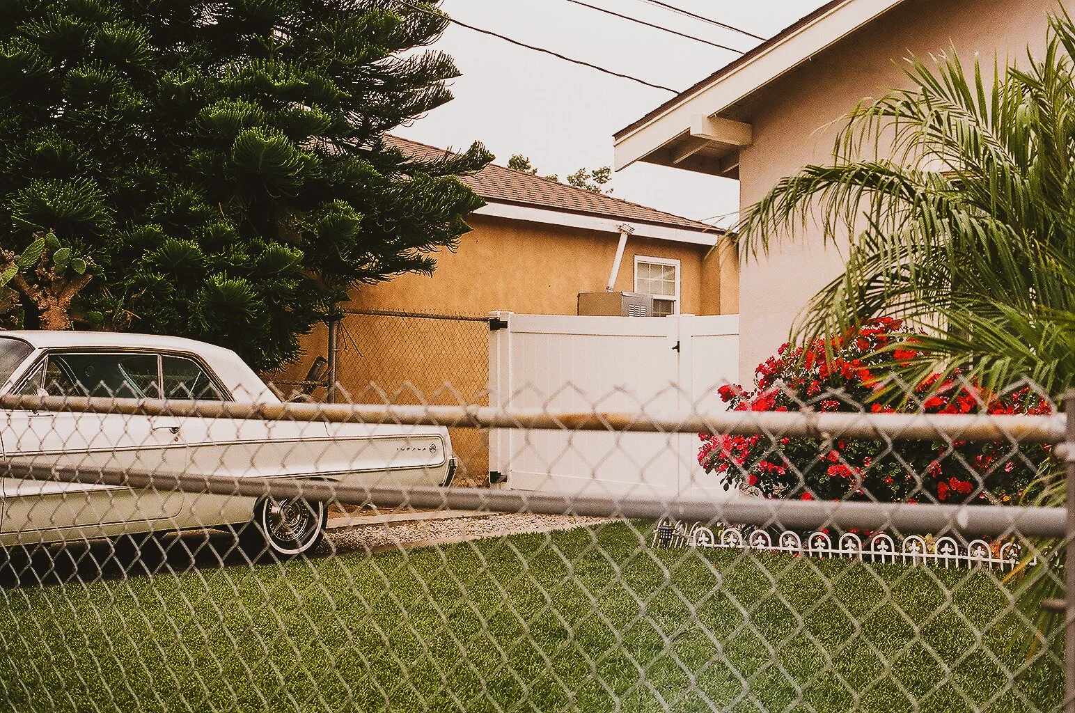A chain-link fence in the foreground with a vintage white car partially visible behind it, green grass, trees, bushes with pink flowers, and a beige and white house in the background.