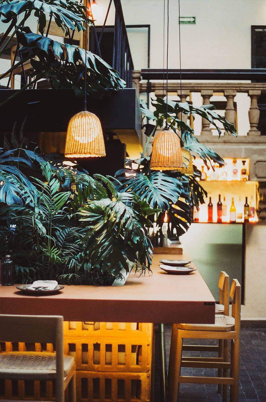 Interior of a cozy restaurant or cafe with a large green leafy plant, hanging wicker lamps, a wooden table with plates, and a background featuring a bar with bottles and warm lighting.