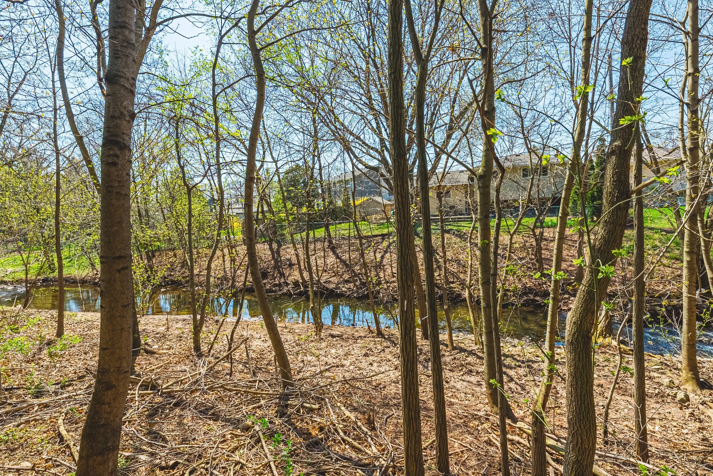 34 - 668 Chestnut Pl, Burlington.jpg